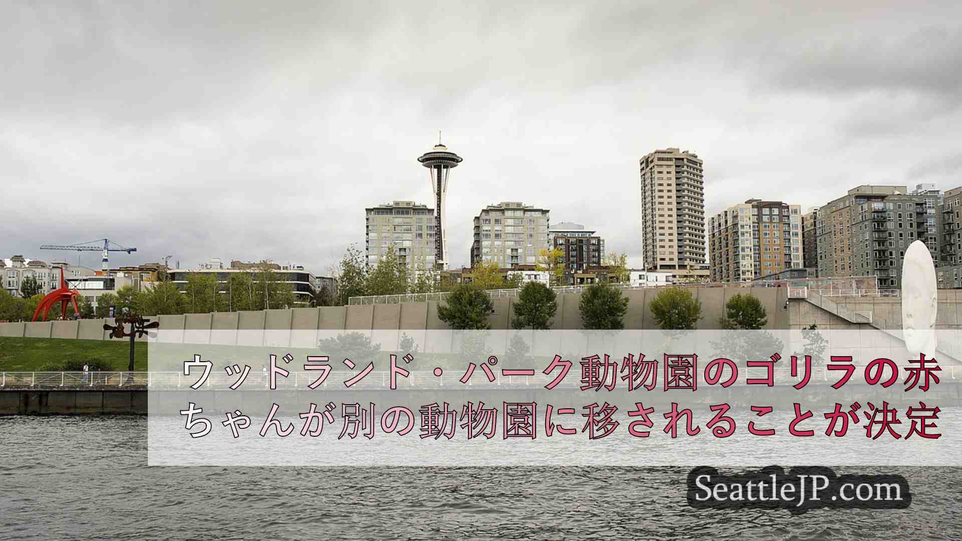 シアトルニュース SeattleJP