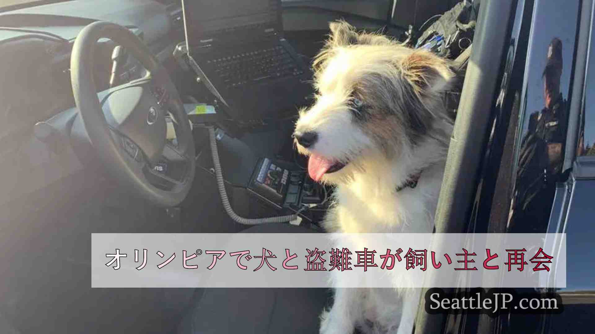 オリンピアで犬と盗難車が飼い主と再会