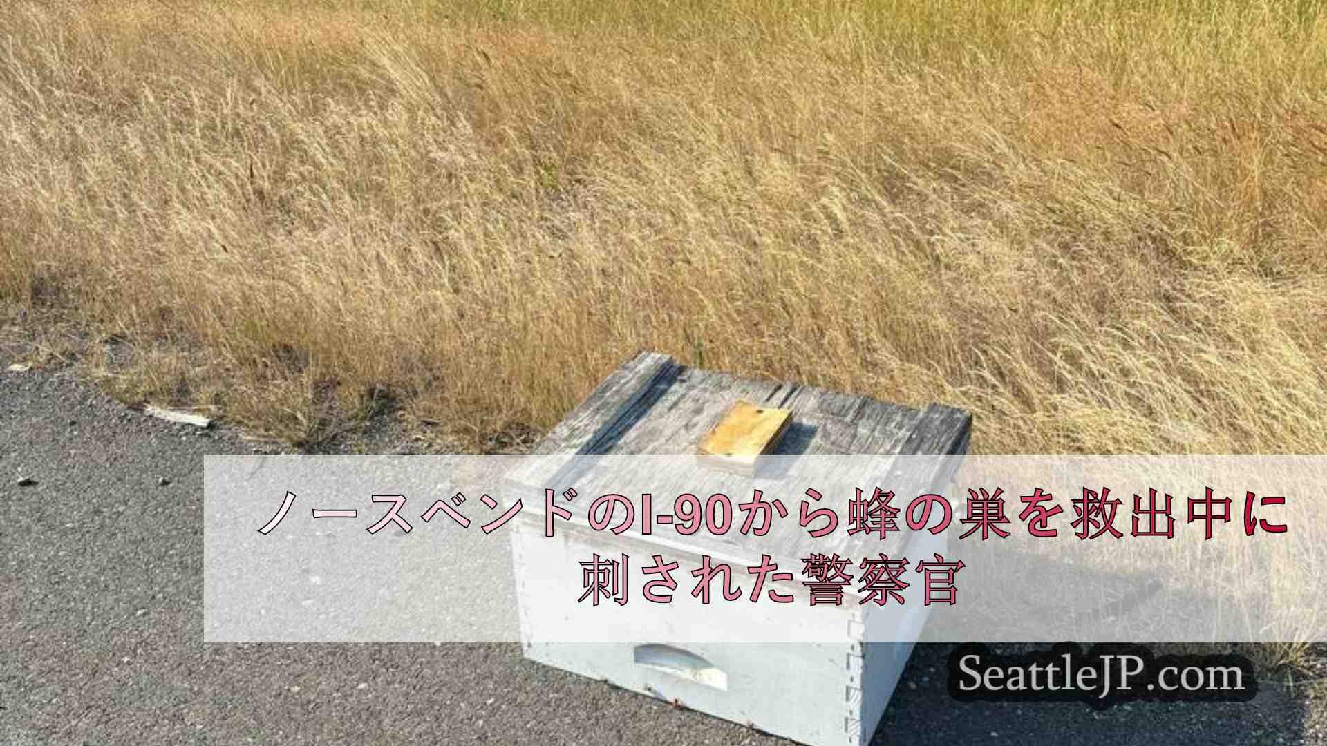 ノースベンドのI-90から蜂の巣を救出中に刺された警察官