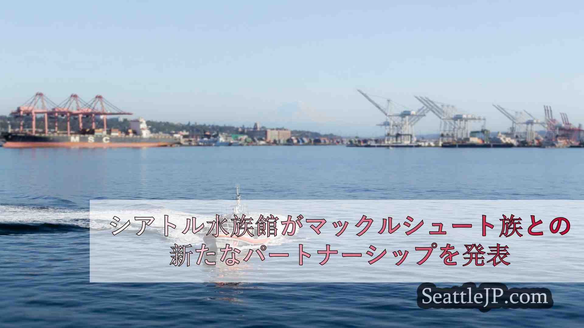 シアトルニュース SeattleJP