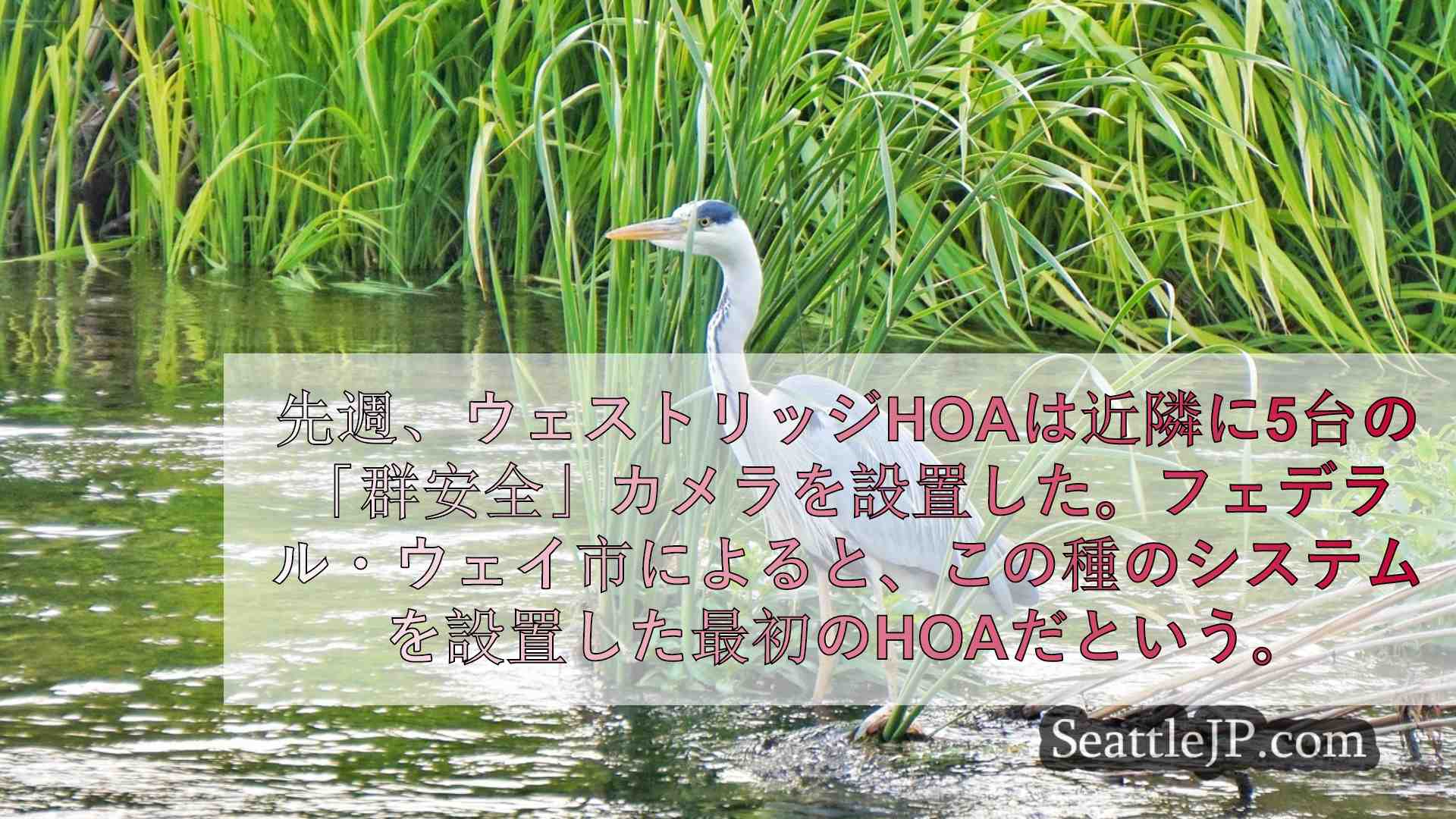 シアトルニュース SeattleJP