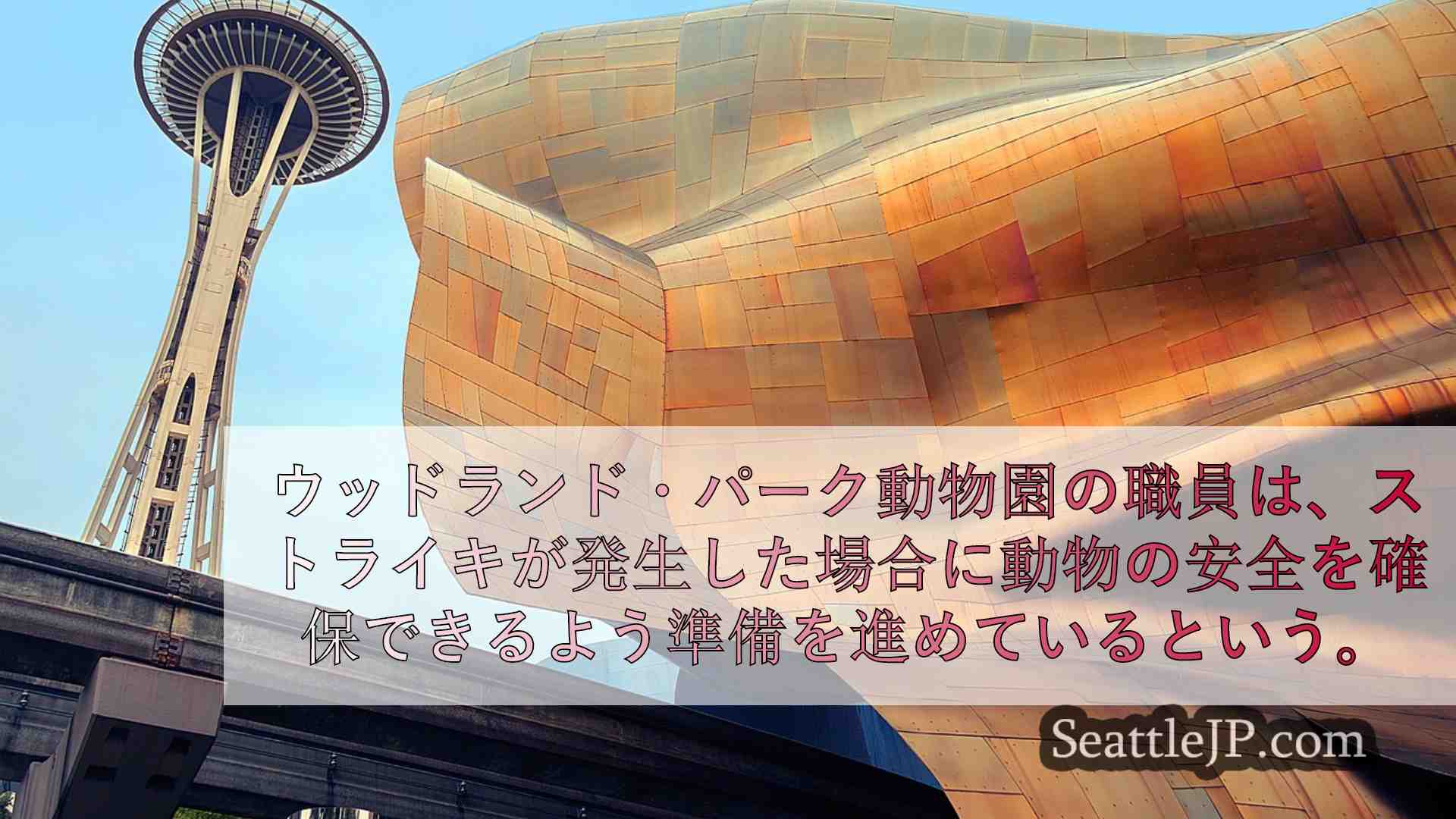 シアトルニュース SeattleJP