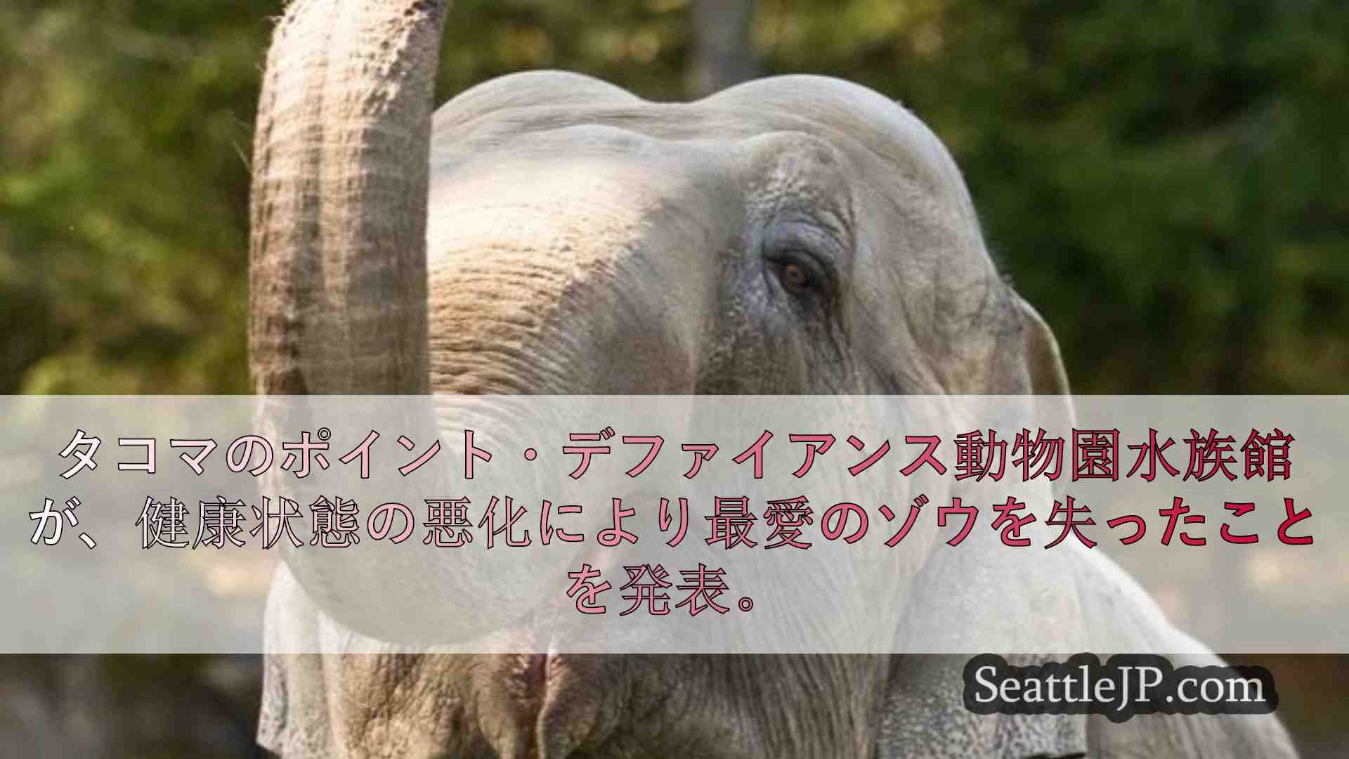 シアトルニュース SeattleJP