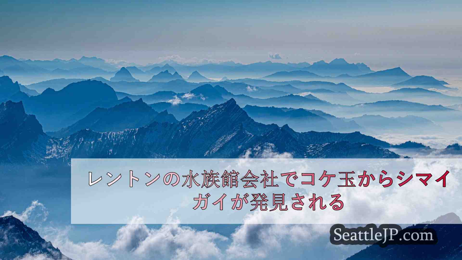 シアトルニュース SeattleJP