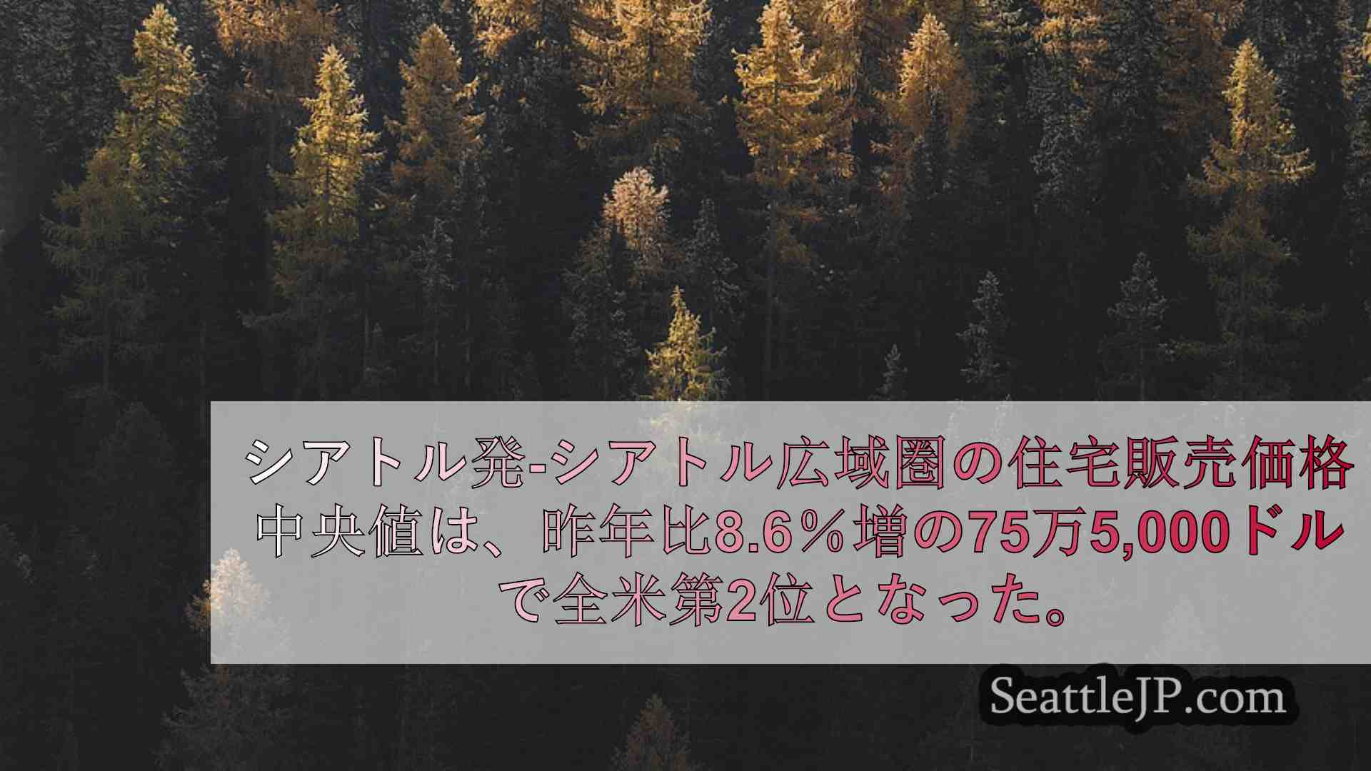 シアトルニュース SeattleJP