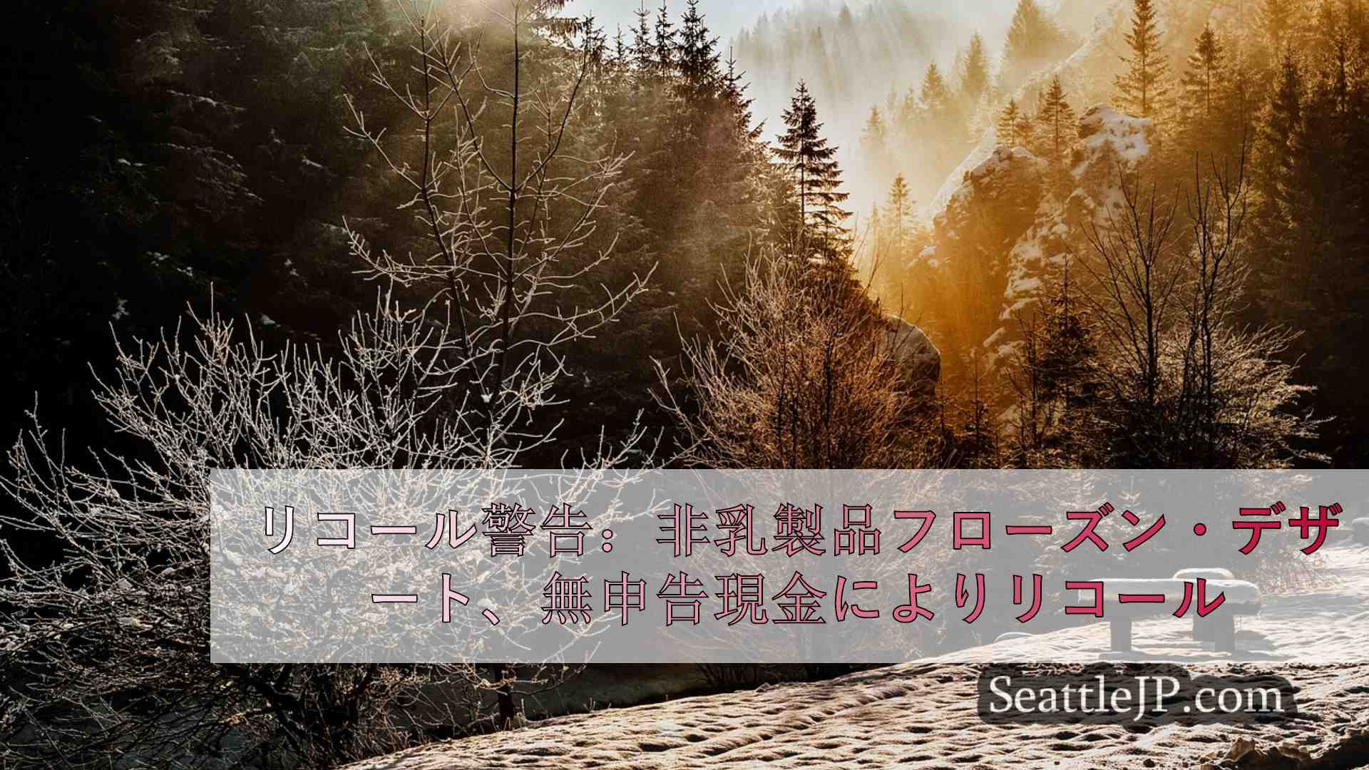 シアトルニュース SeattleJP