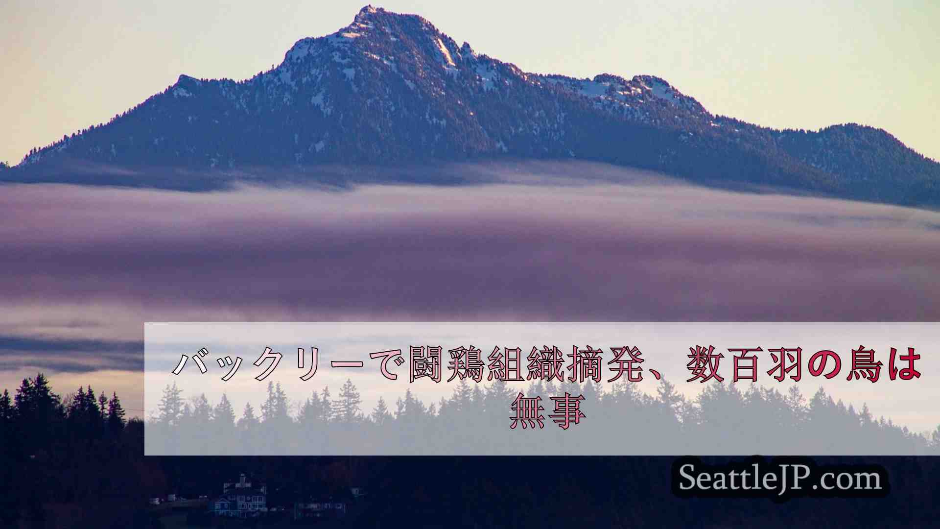 シアトルニュース SeattleJP