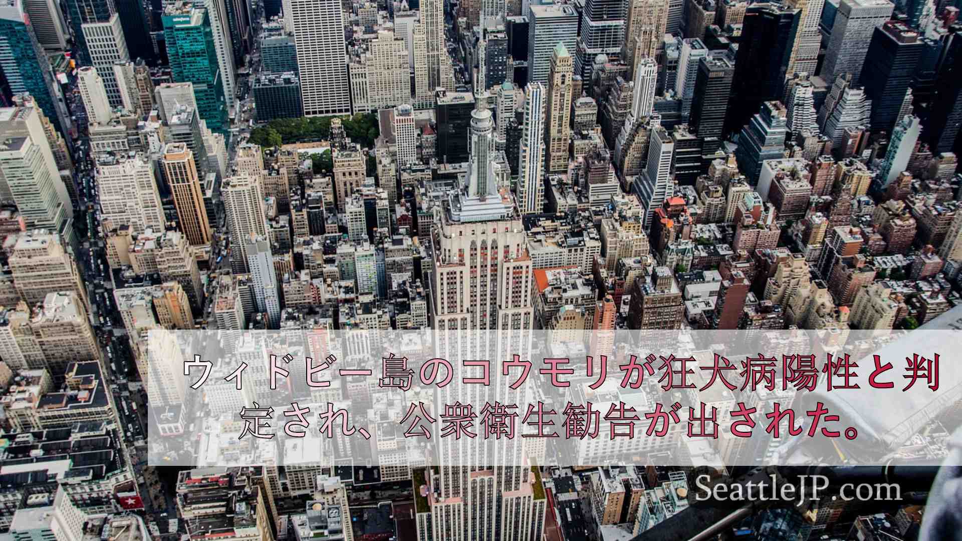 シアトルニュース SeattleJP