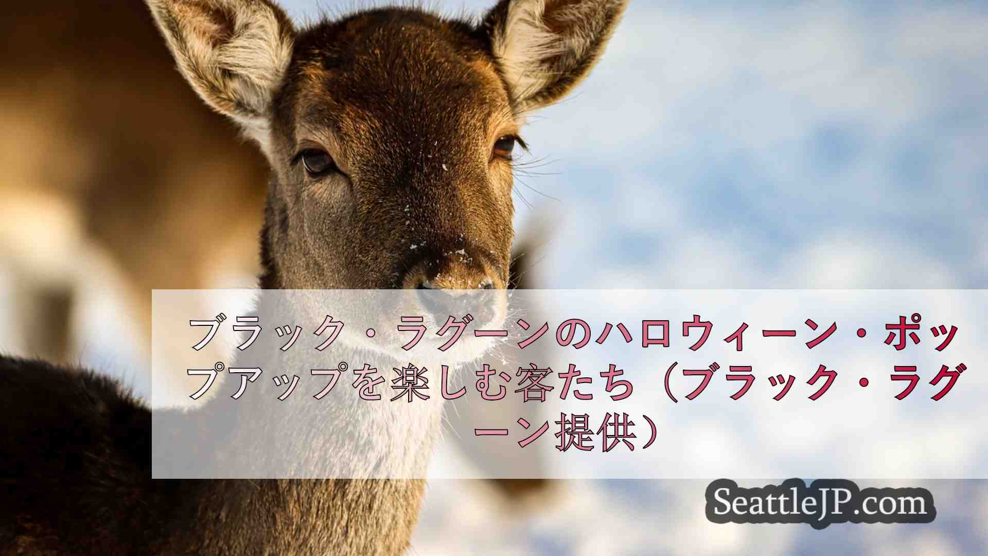 シアトルニュース SeattleJP