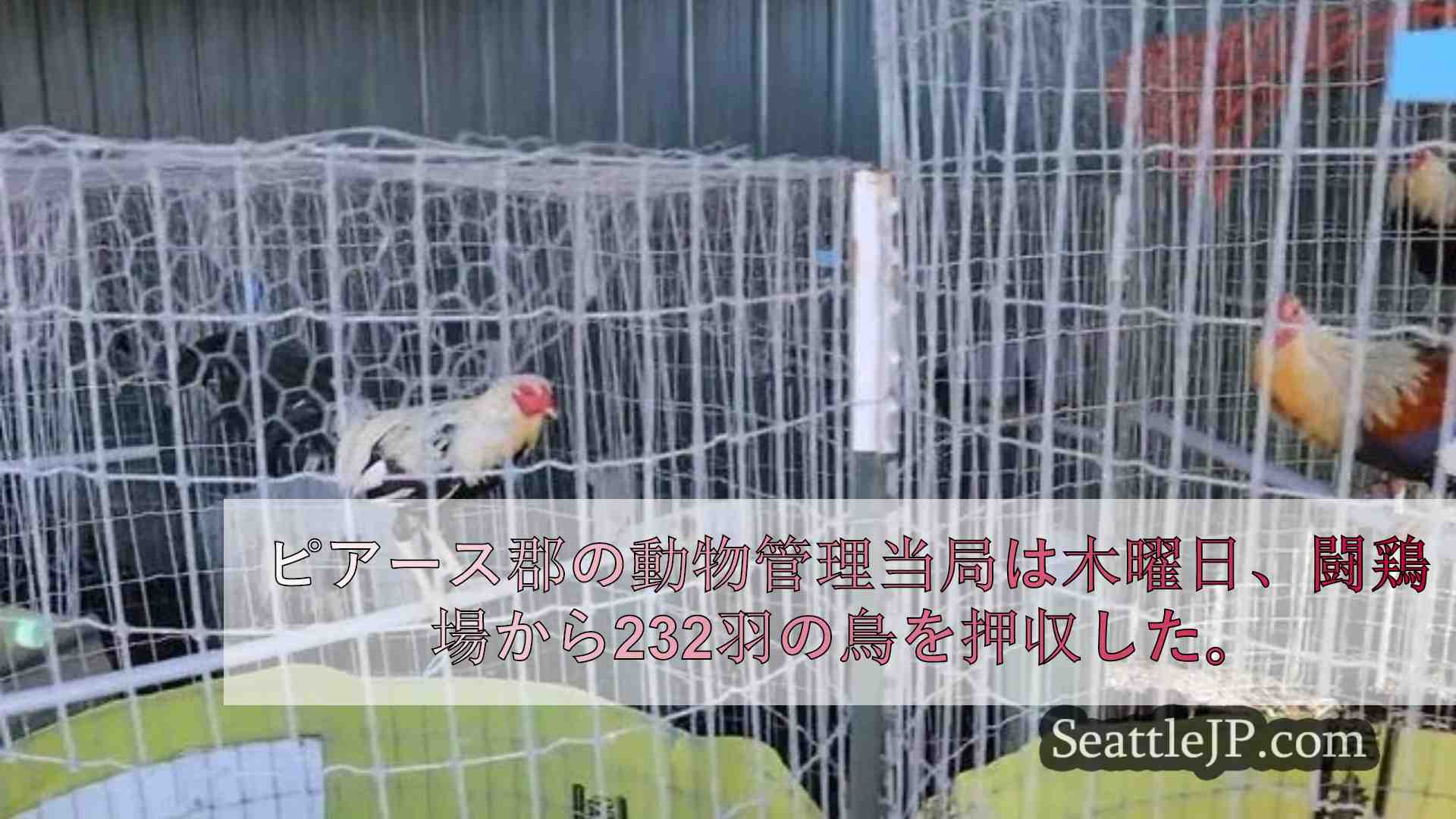 シアトルニュース SeattleJP