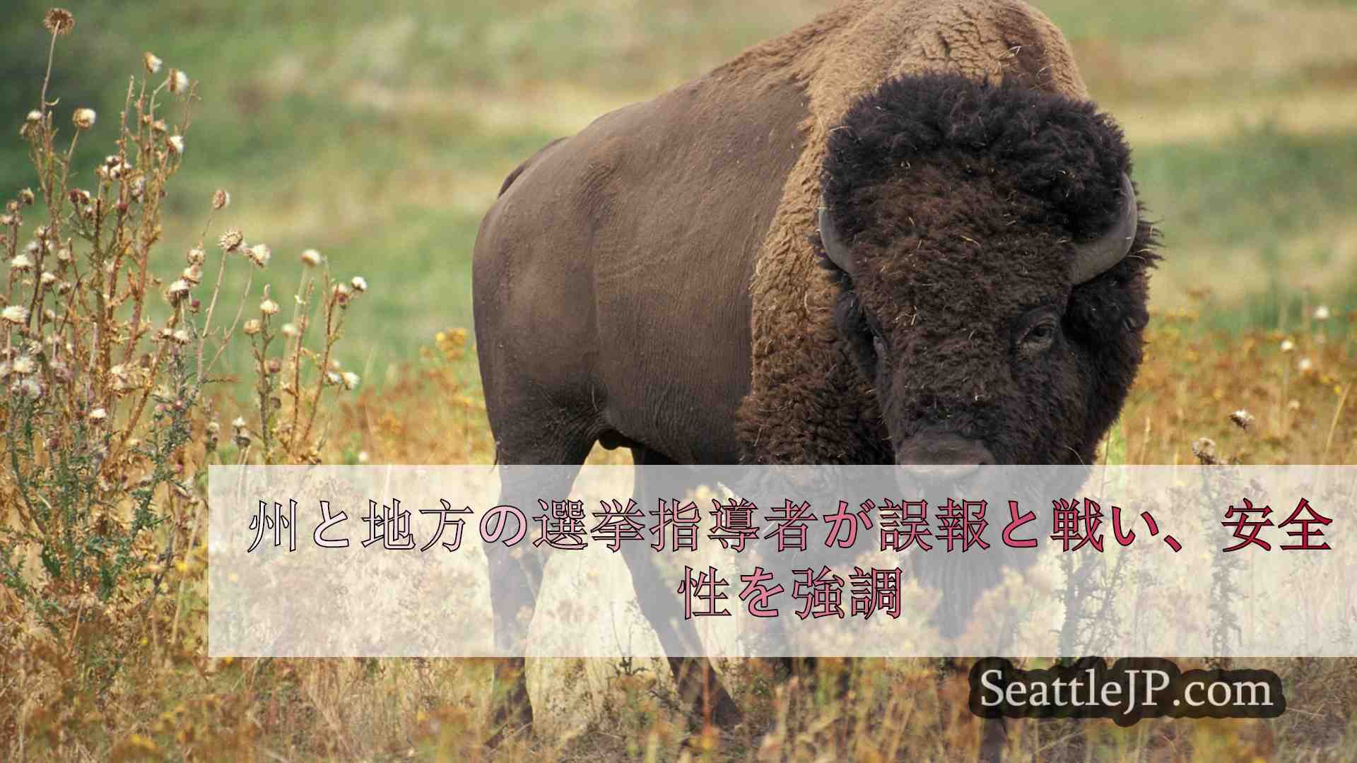 シアトルニュース SeattleJP