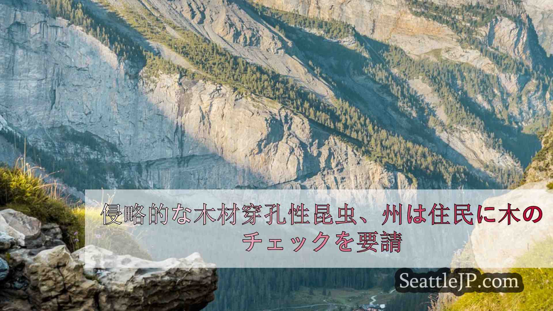 シアトルニュース SeattleJP