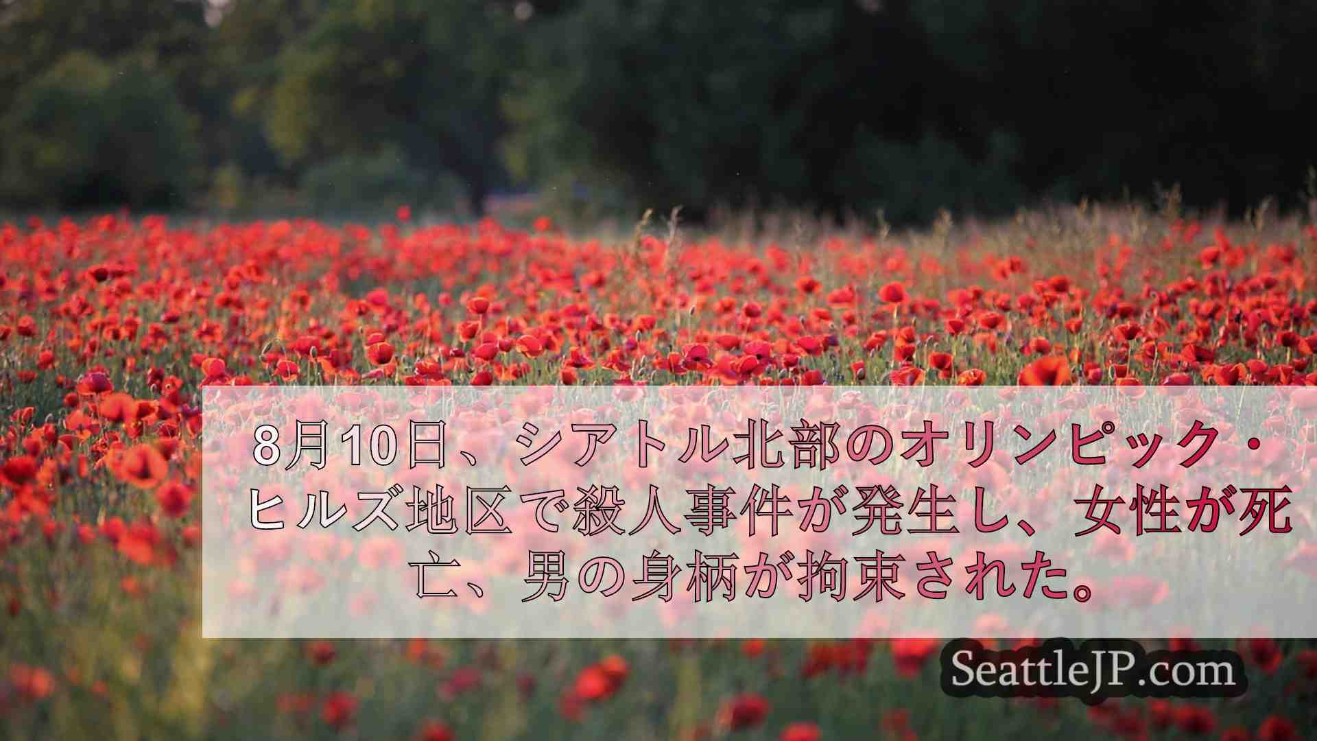 シアトルニュース SeattleJP