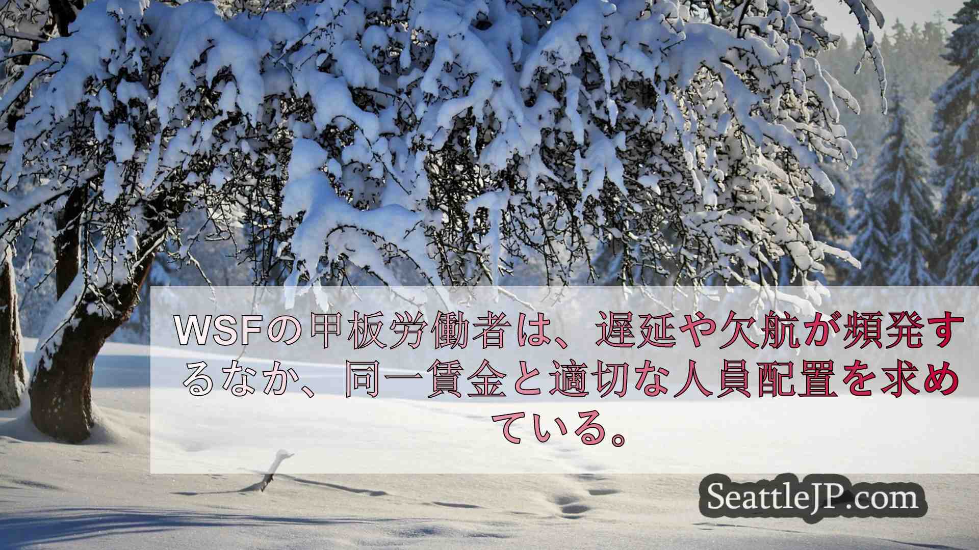 シアトルニュース SeattleJP