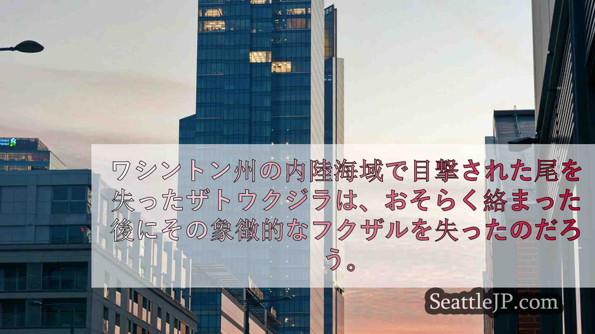 シアトルニュース SeattleJP