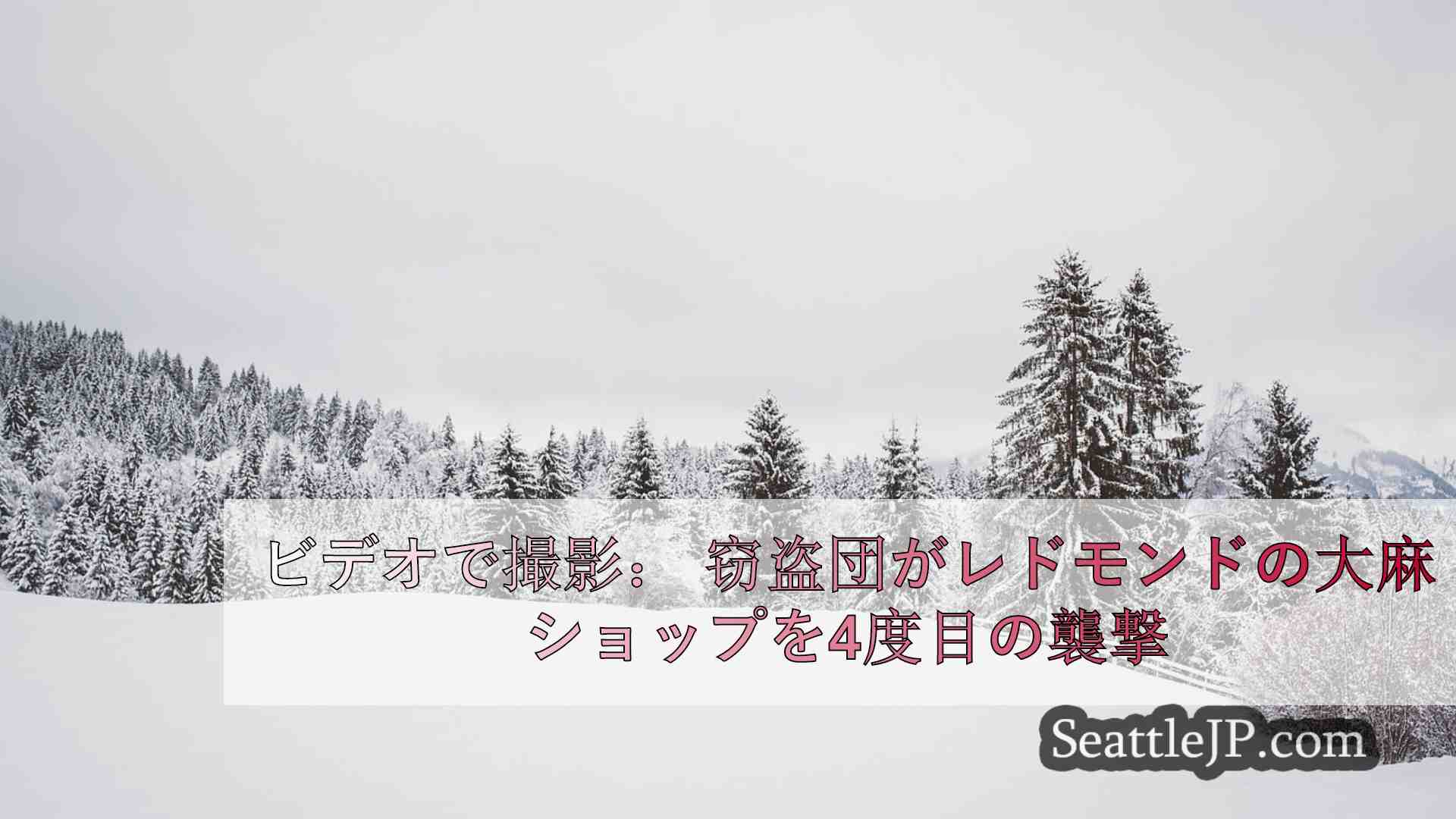 シアトルニュース SeattleJP