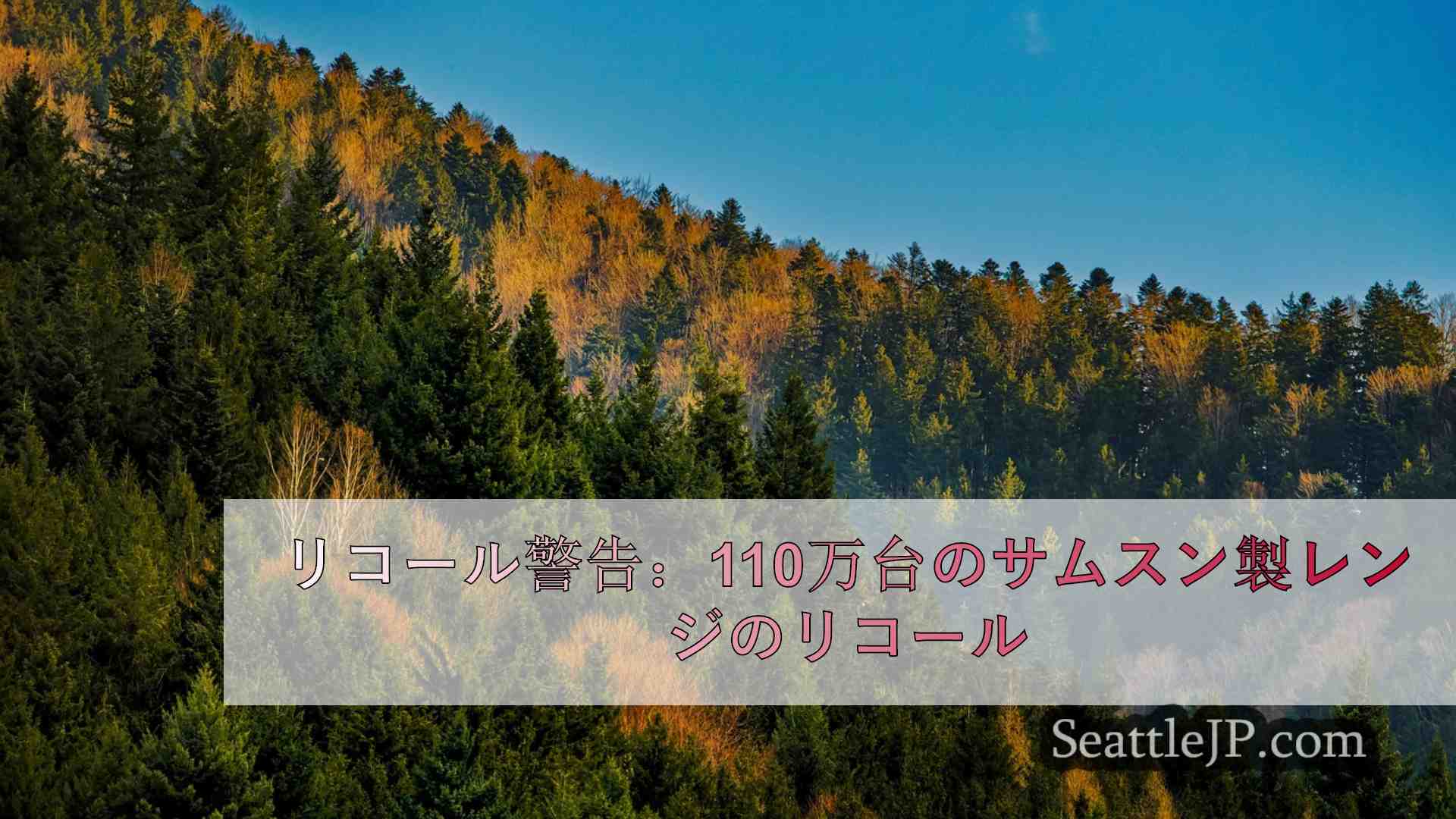 シアトルニュース SeattleJP