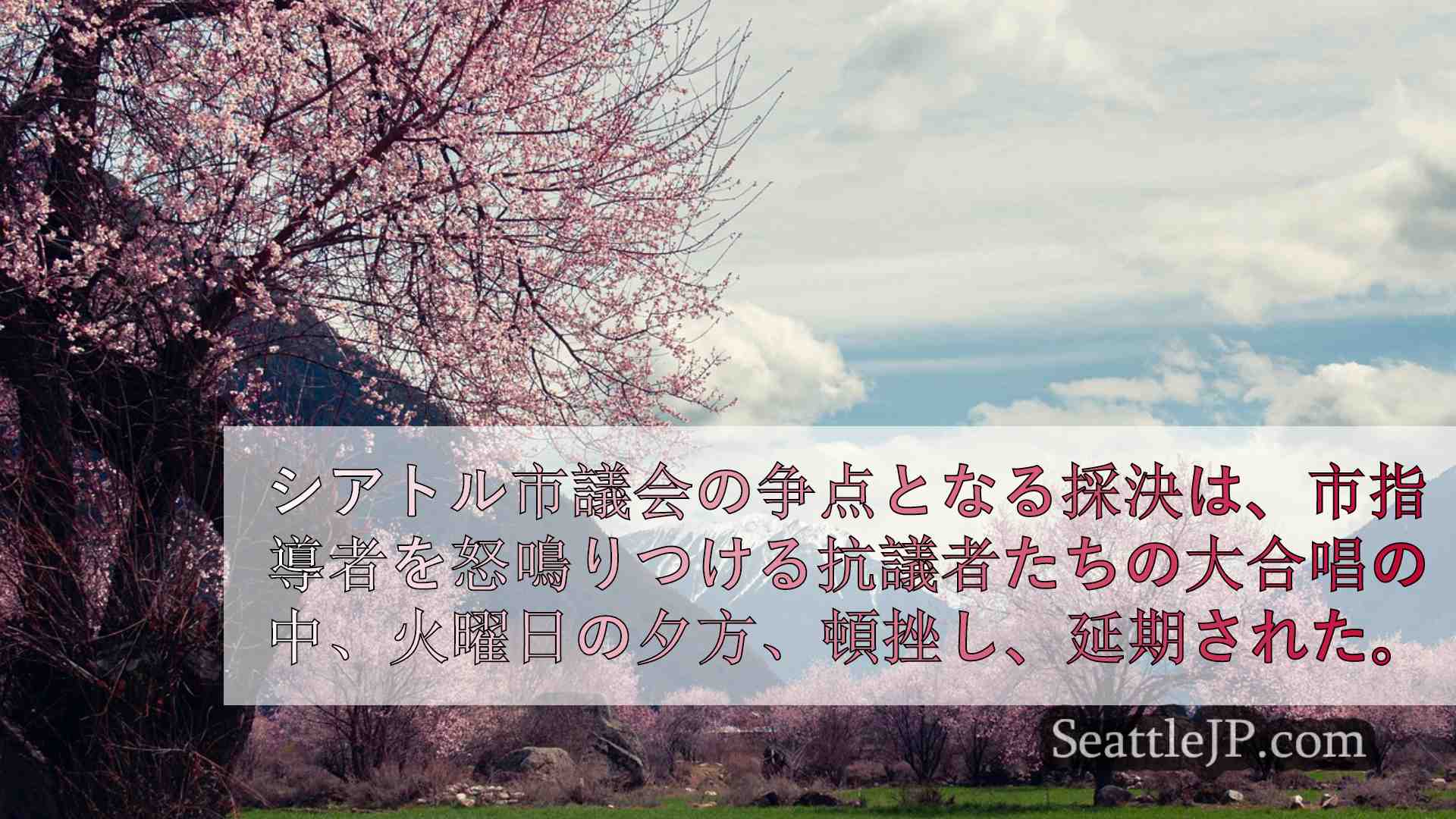 シアトルニュース SeattleJP