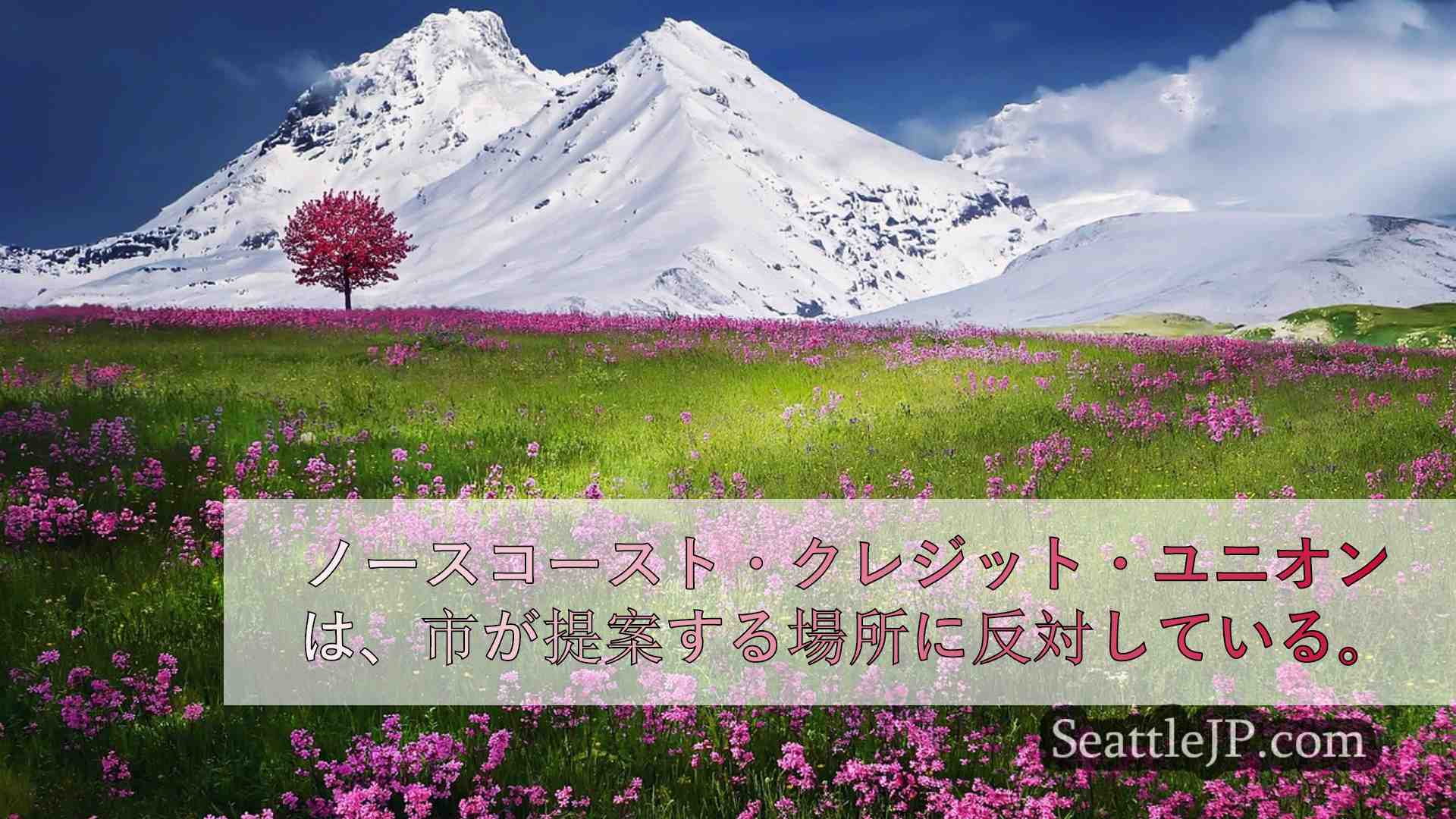シアトルニュース SeattleJP