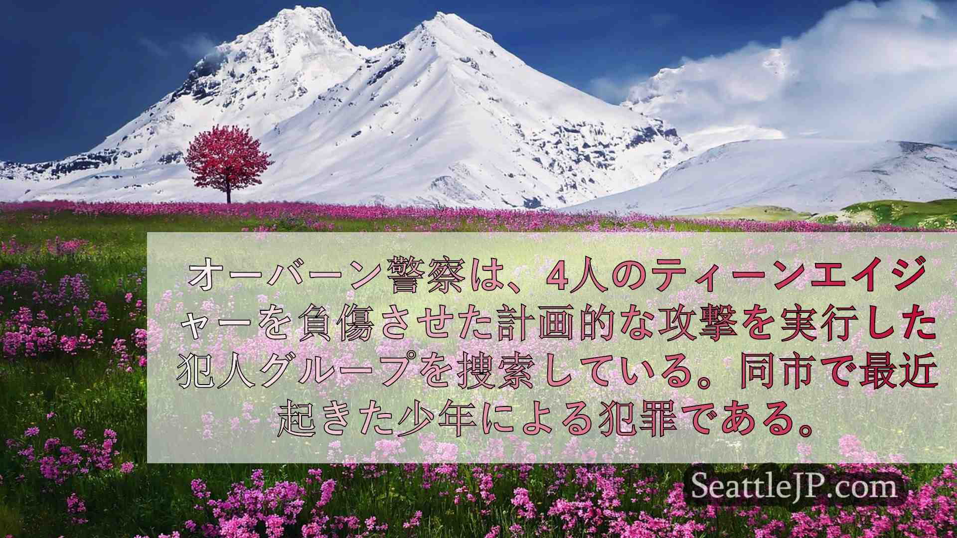 シアトルニュース SeattleJP