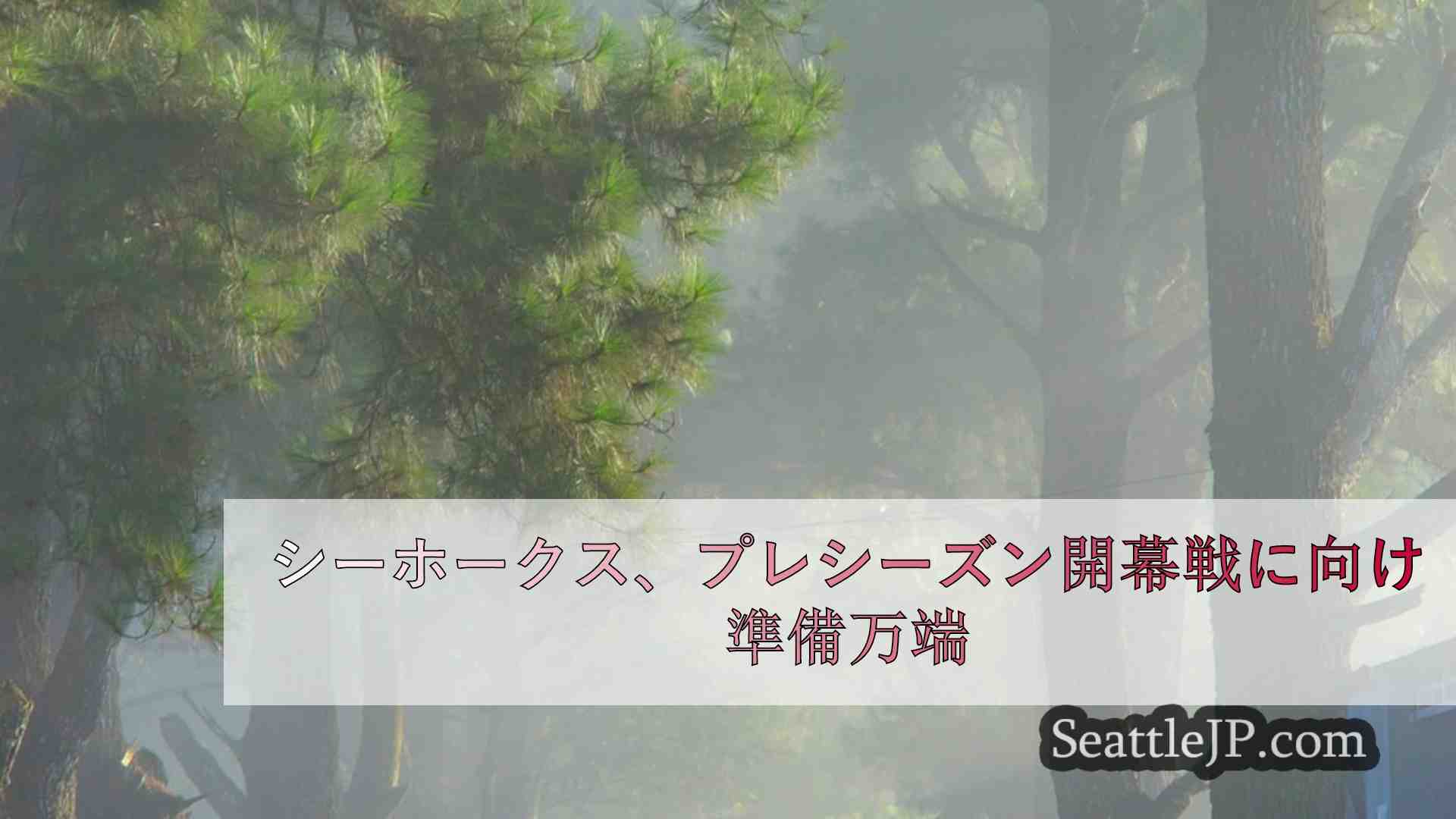 シアトルニュース SeattleJP