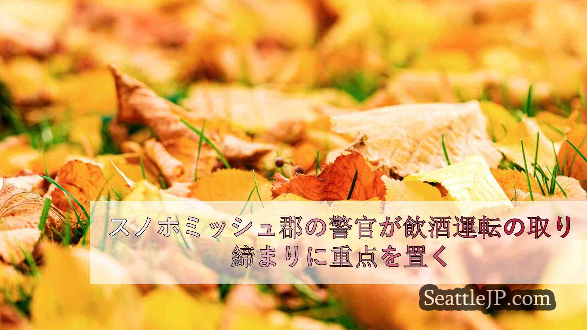 シアトルニュース SeattleJP