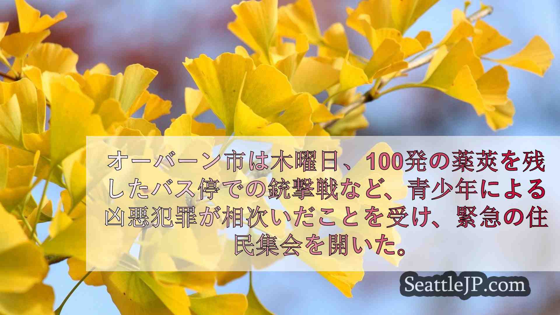 シアトルニュース SeattleJP