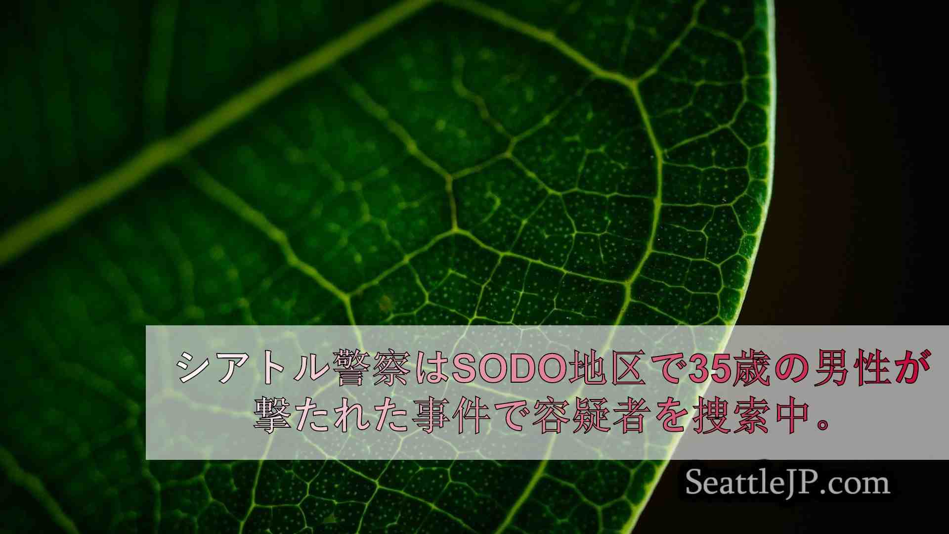 シアトルニュース SeattleJP
