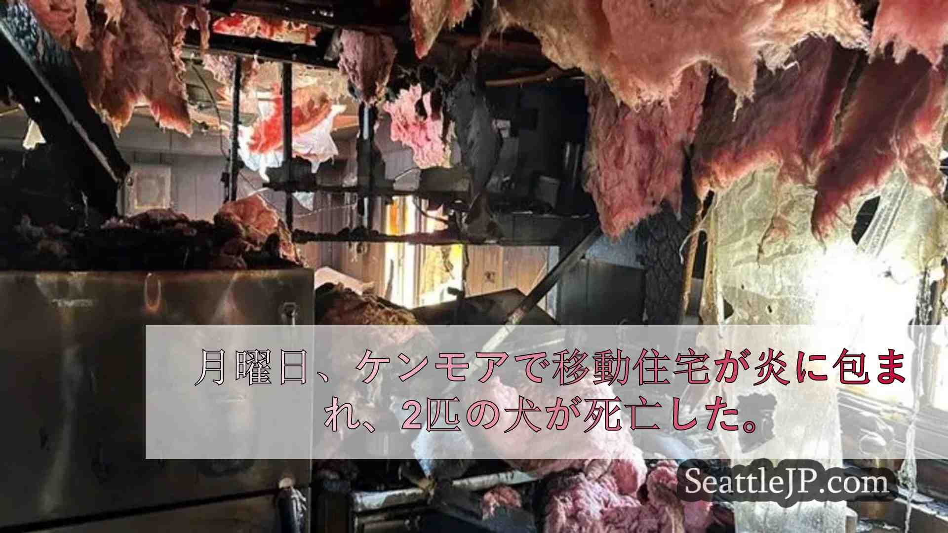 ケンモアの移動住宅火災で犬2匹が死亡