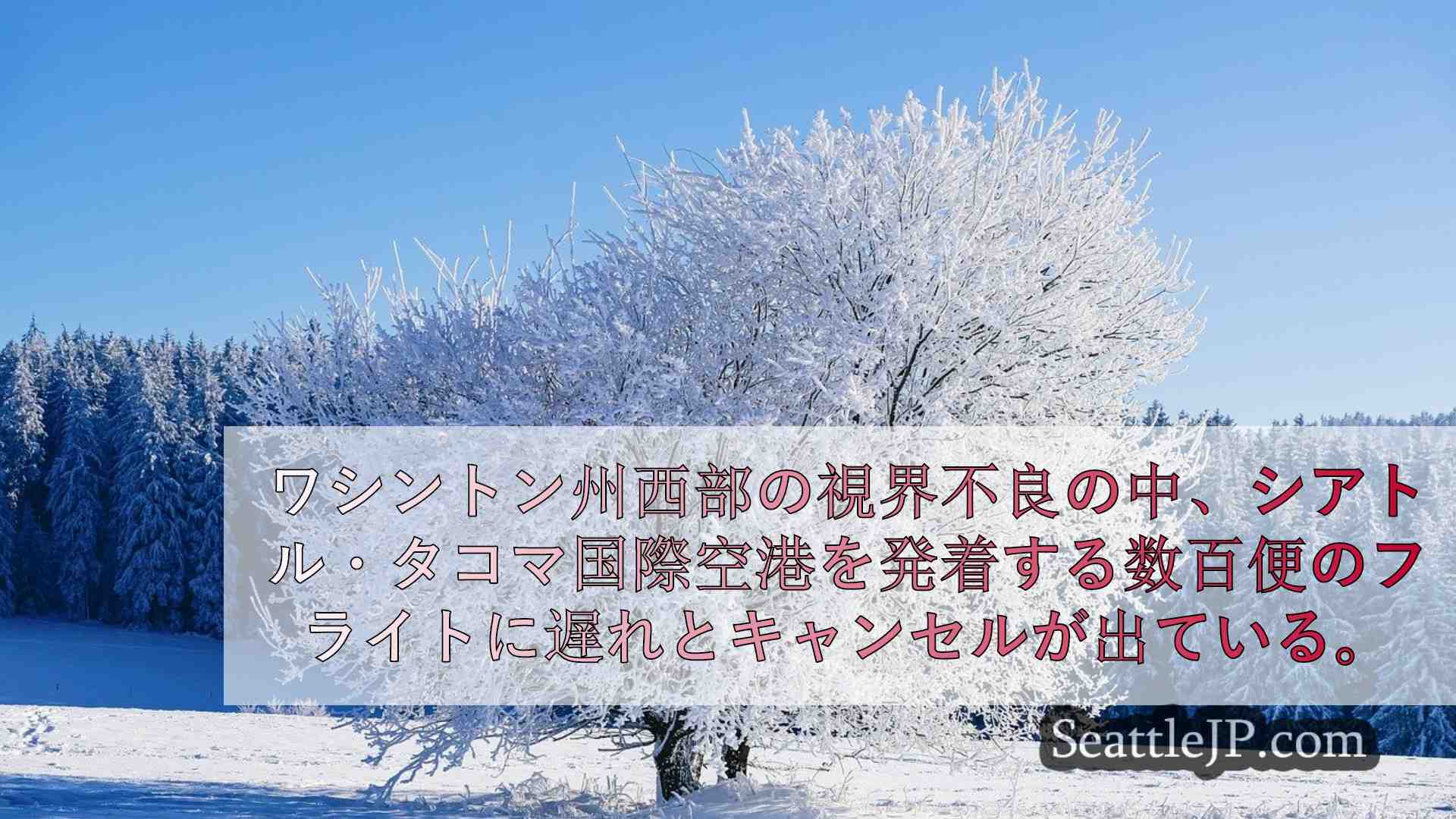 シアトルニュース SeattleJP