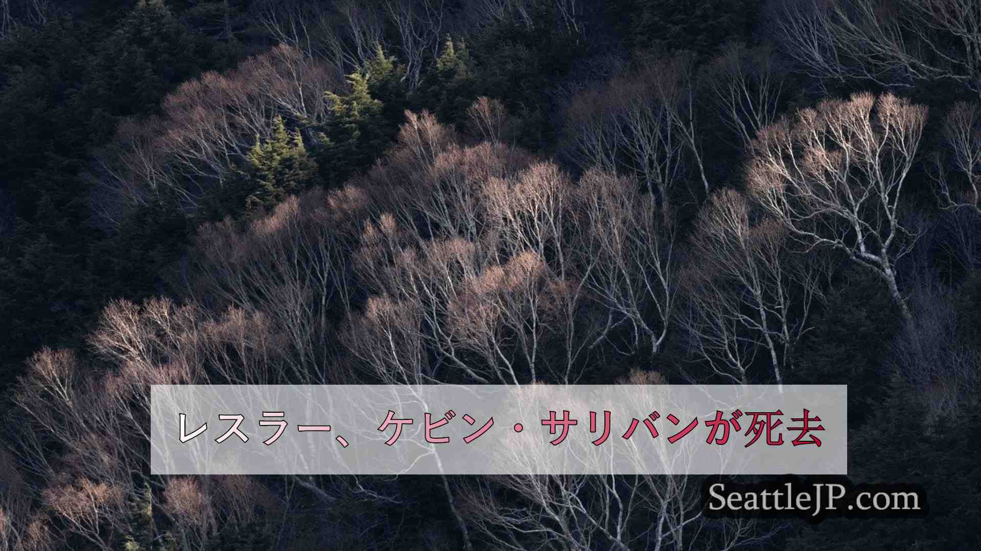 シアトルニュース SeattleJP