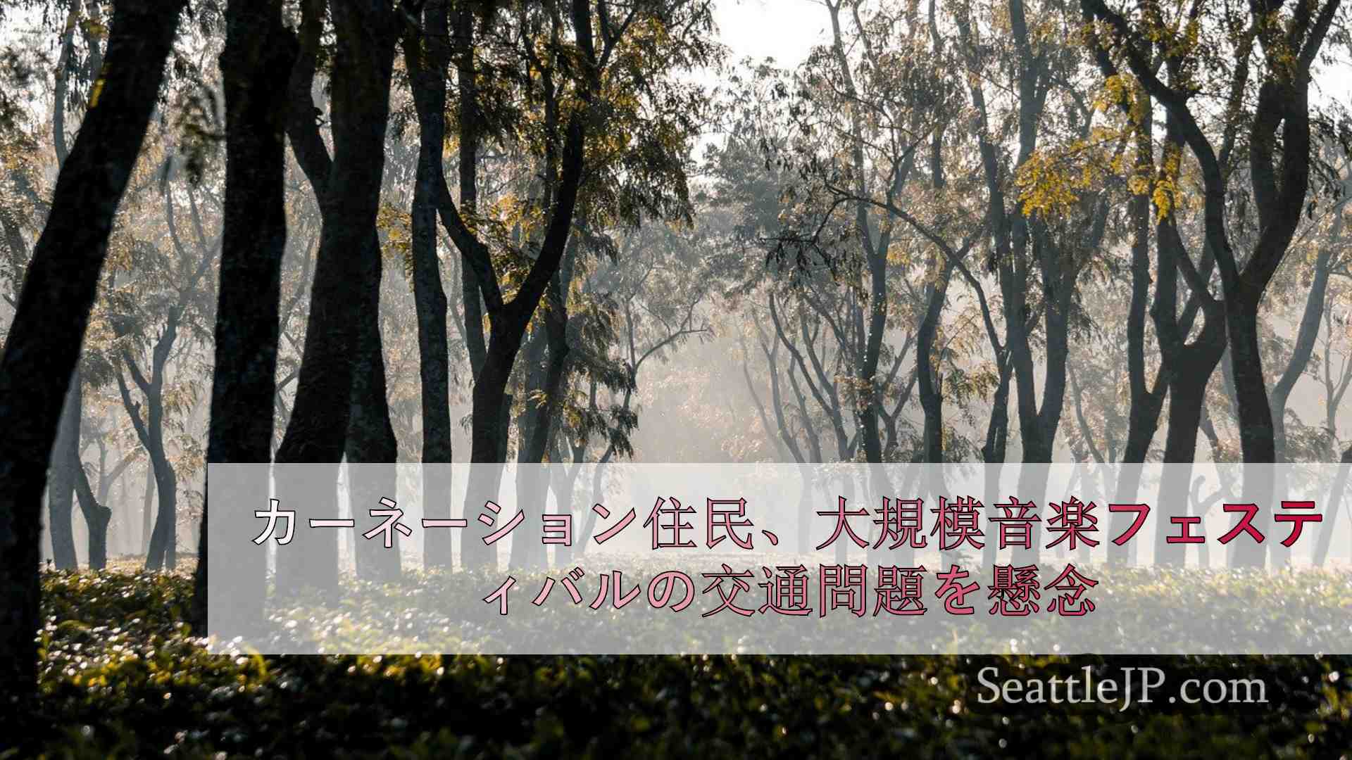 カーネーションの住民、大きな音楽フェスティバルが小さな街にもたらす交通問題を懸念