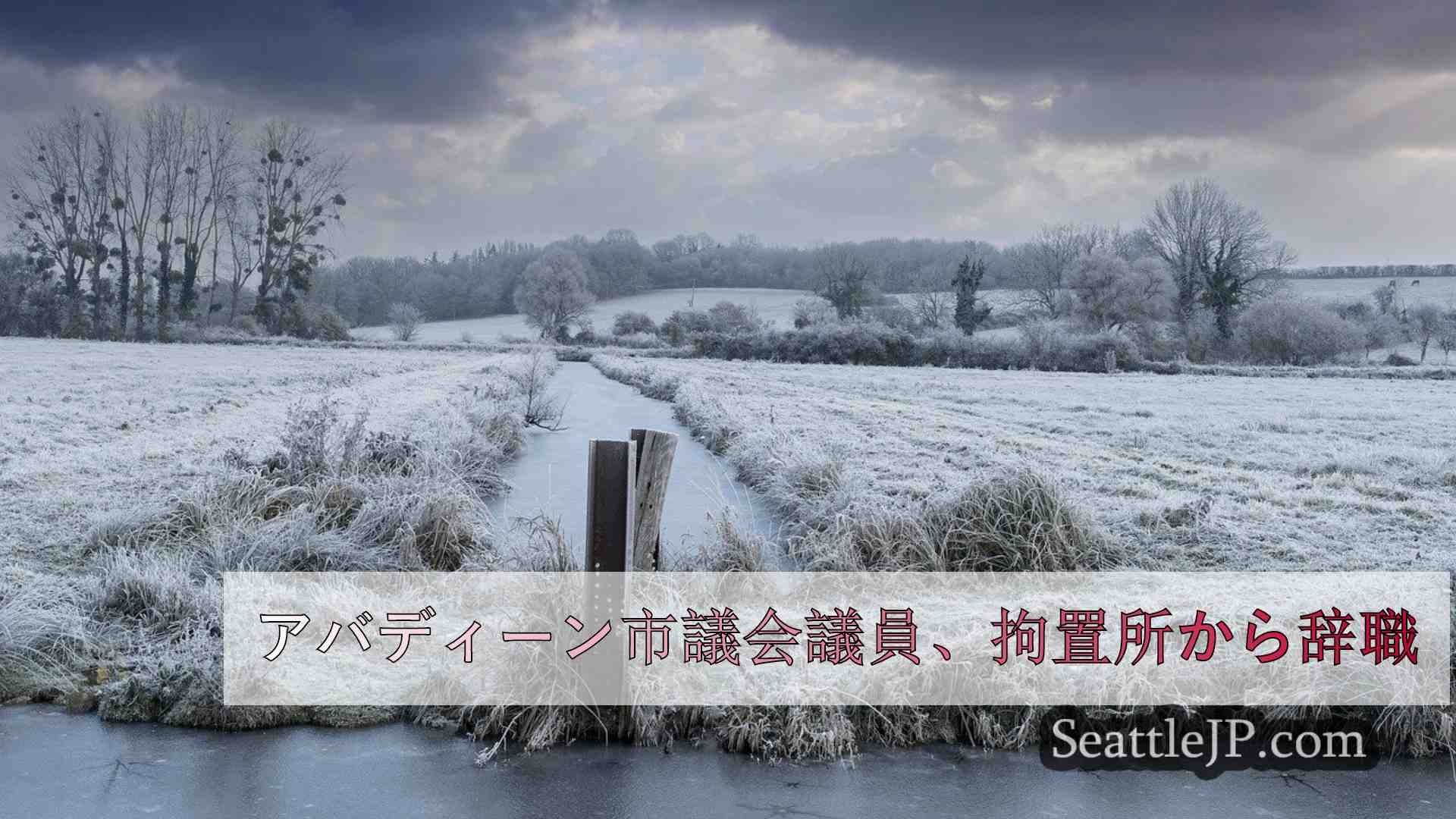 シアトルニュース SeattleJP