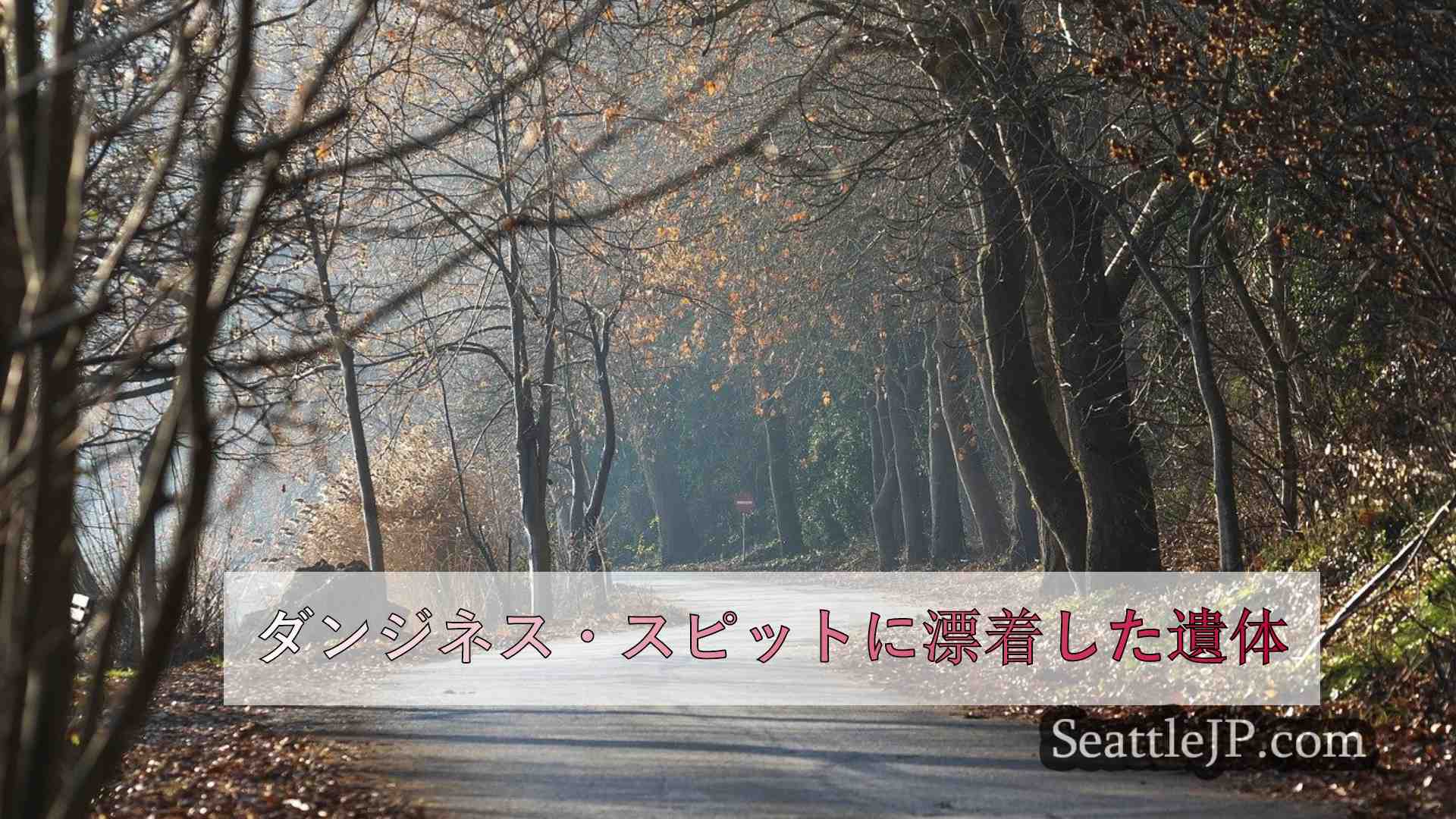 シアトルニュース SeattleJP