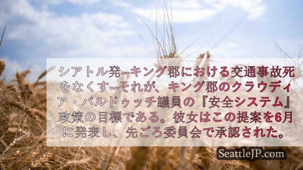 キング郡の交通事故死をなくすための「セーフ・システム」政策が承認される