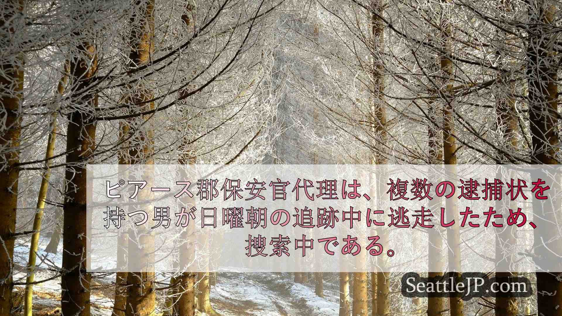 シアトルニュース SeattleJP