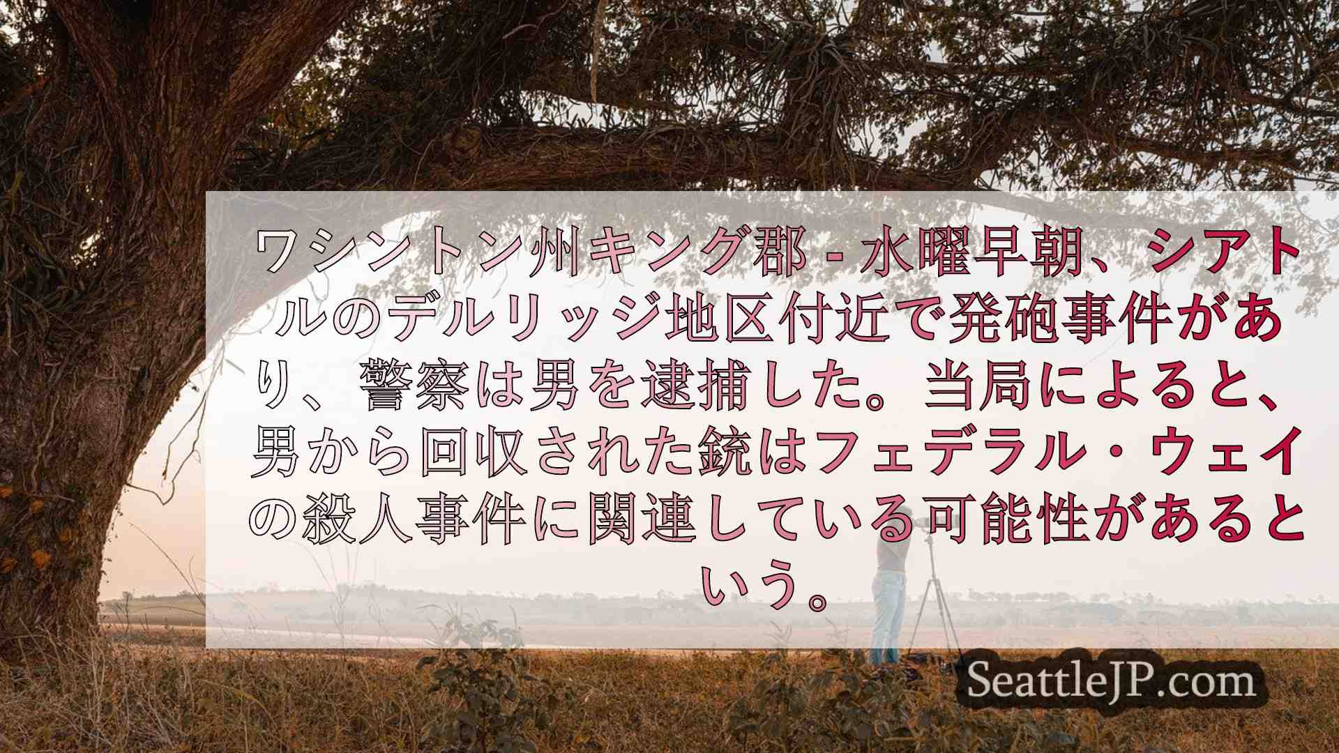 シアトルニュース SeattleJP