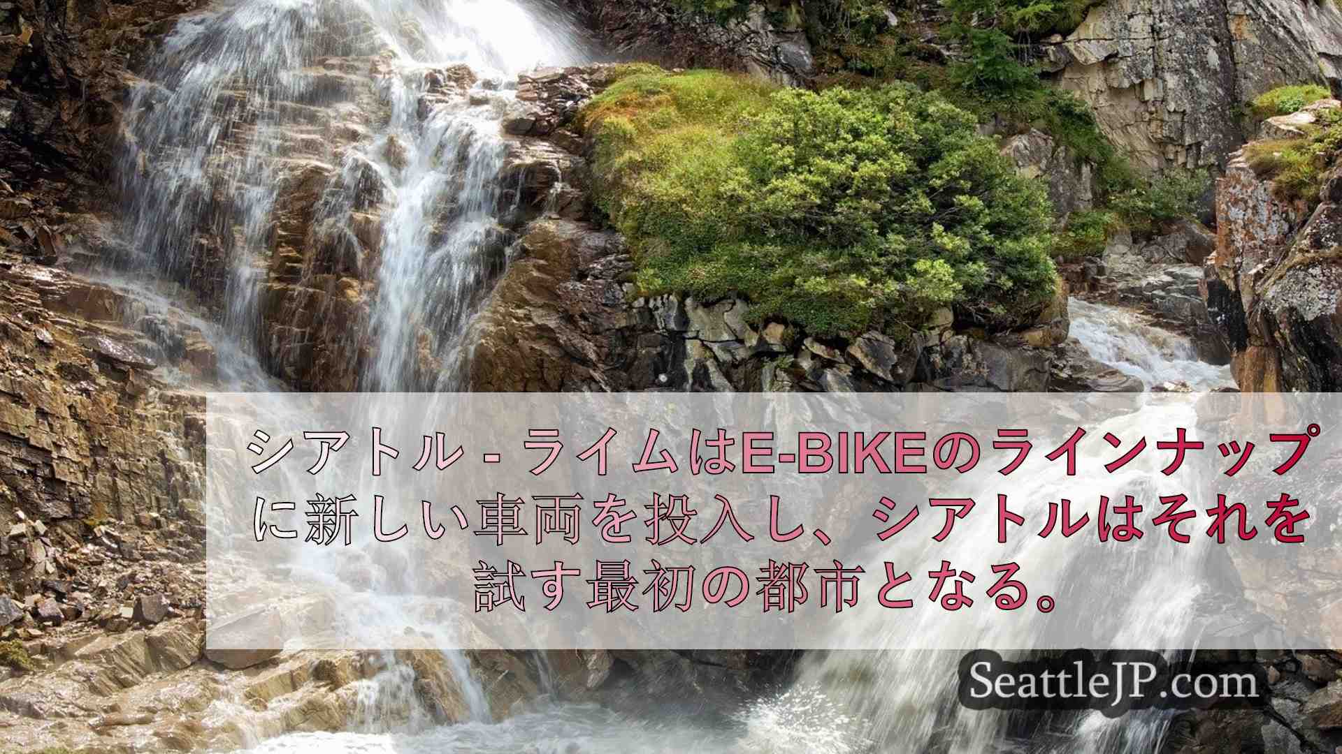 シアトルニュース SeattleJP