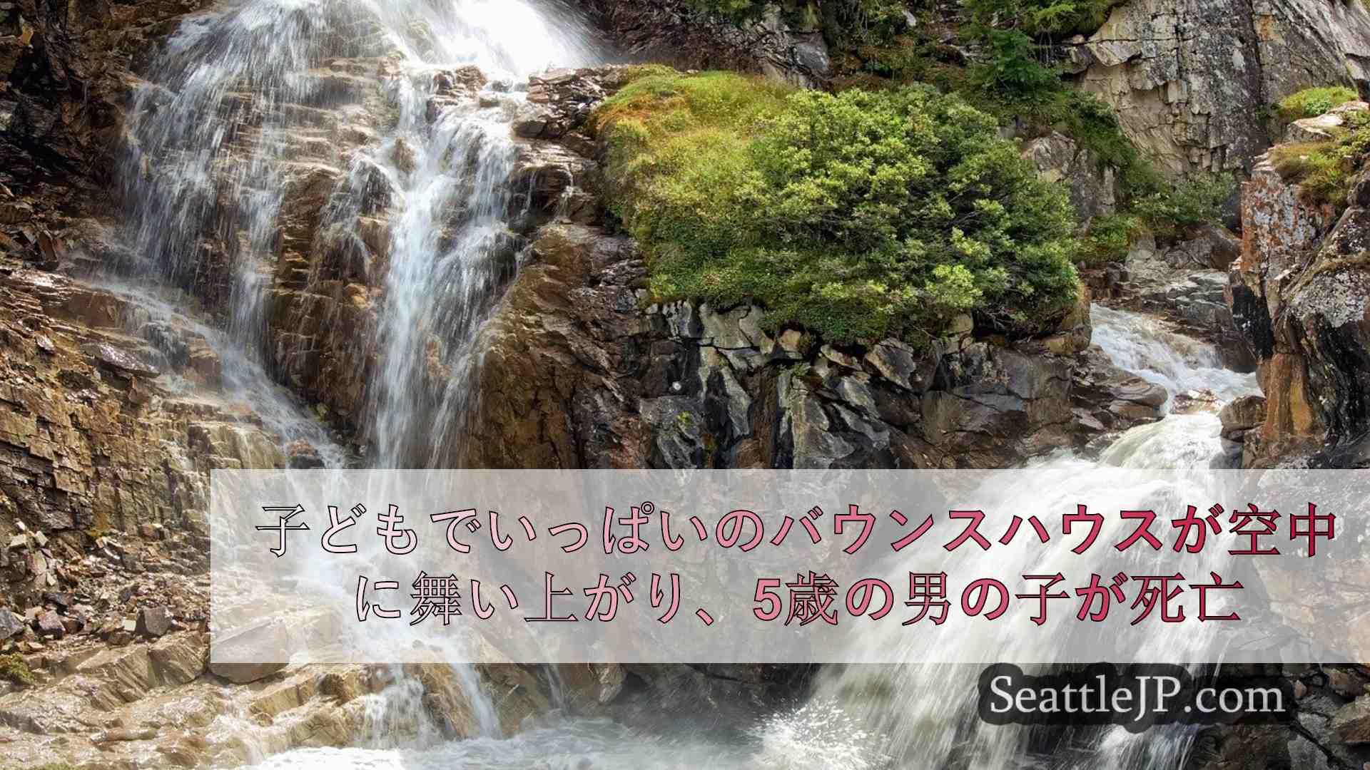 シアトルニュース SeattleJP