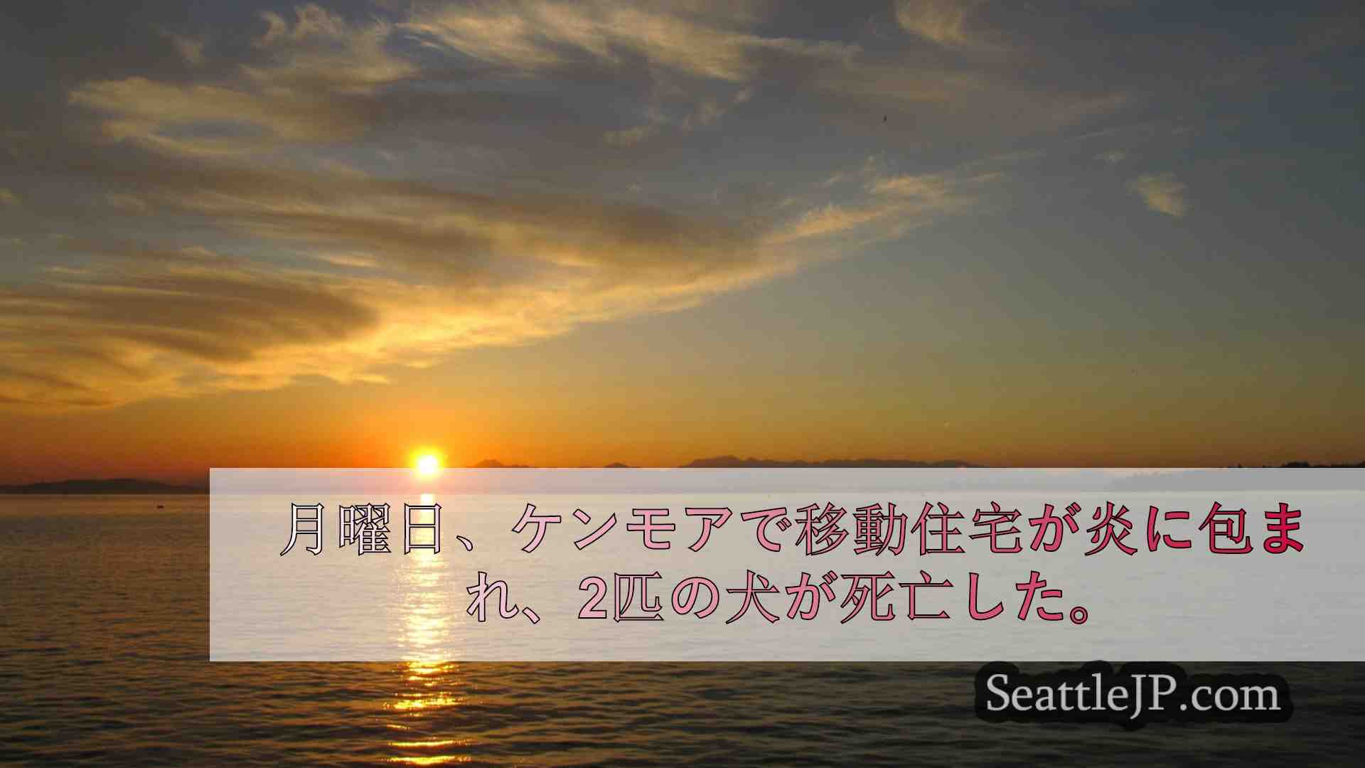 シアトルニュース SeattleJP