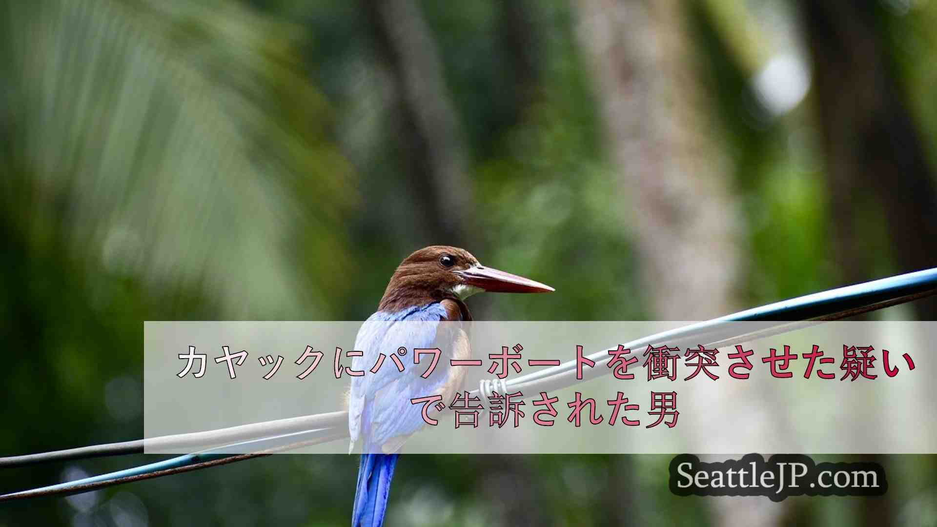 シアトルニュース SeattleJP