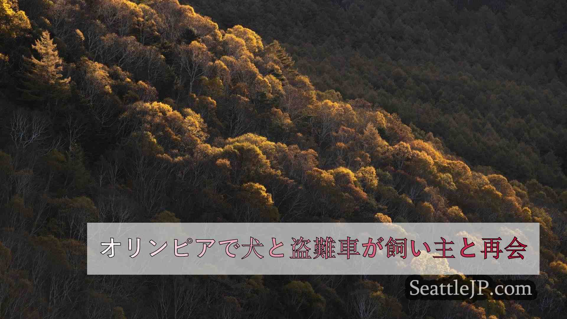 シアトルニュース SeattleJP