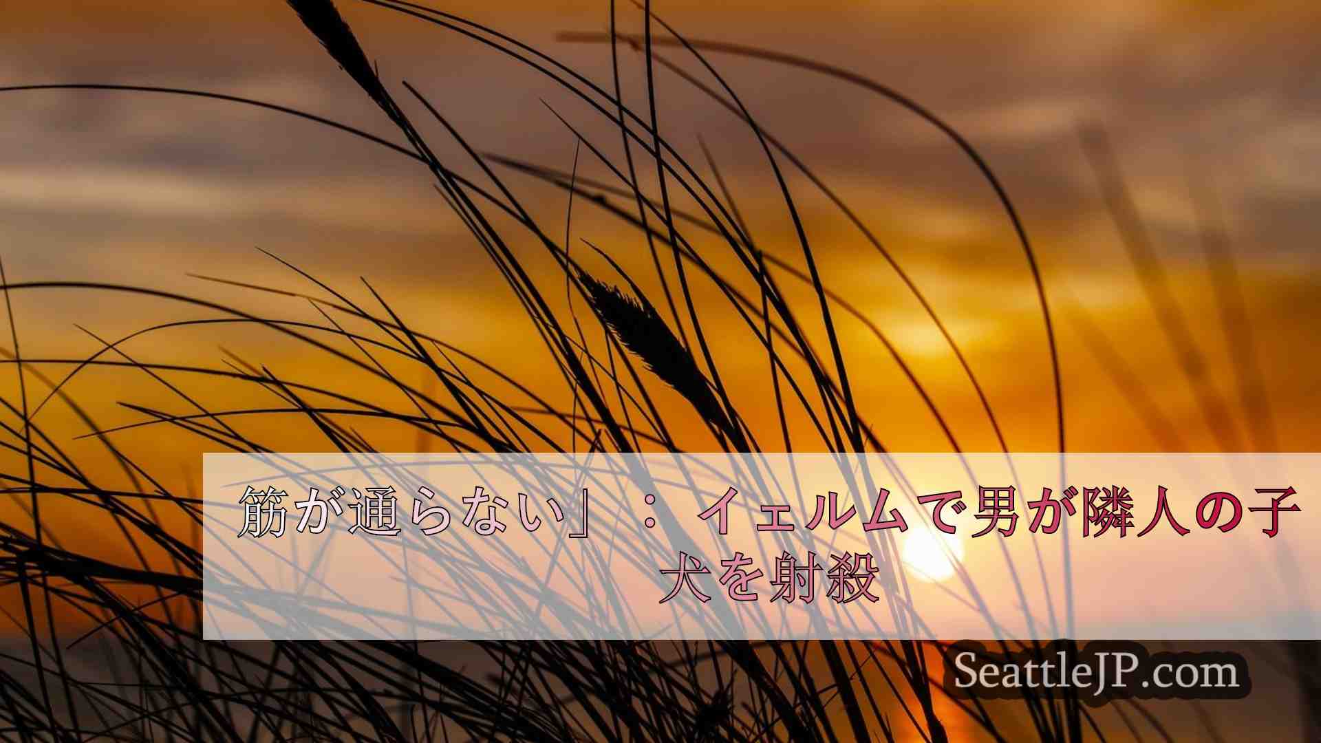 シアトルニュース SeattleJP