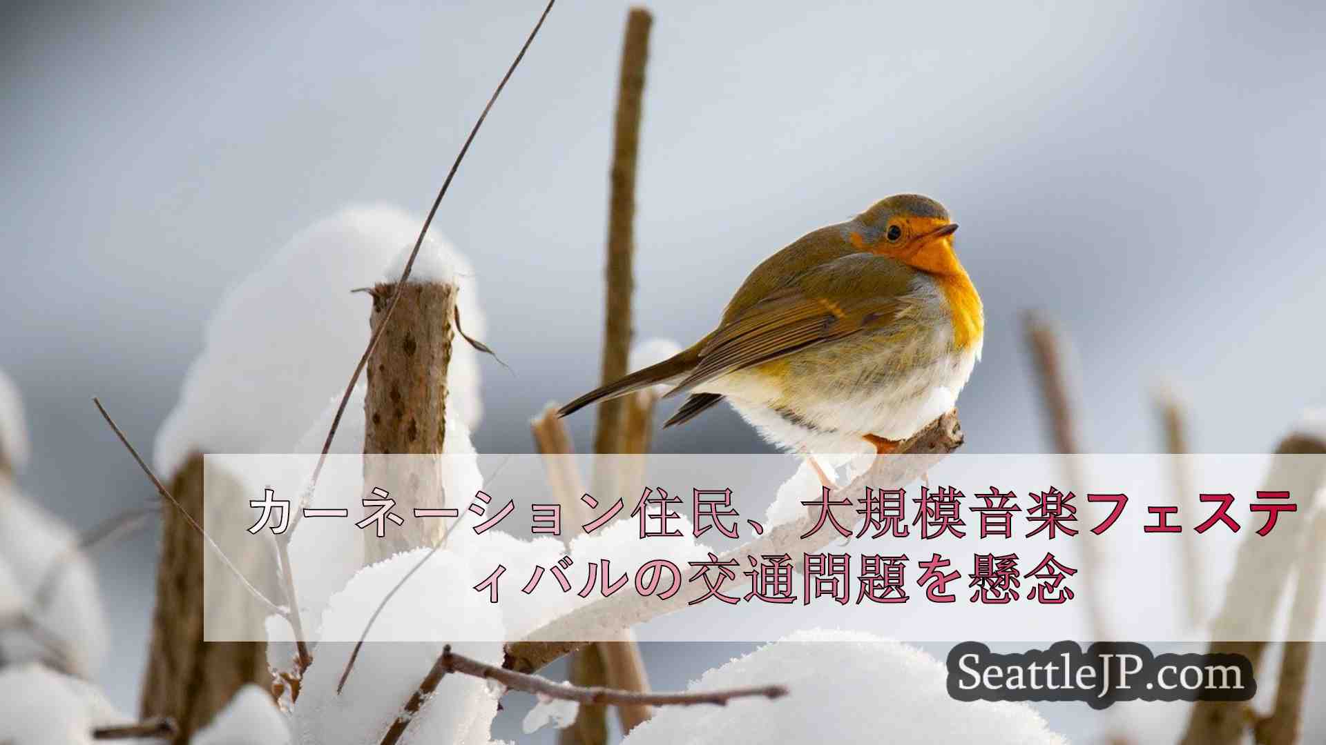 シアトルニュース SeattleJP