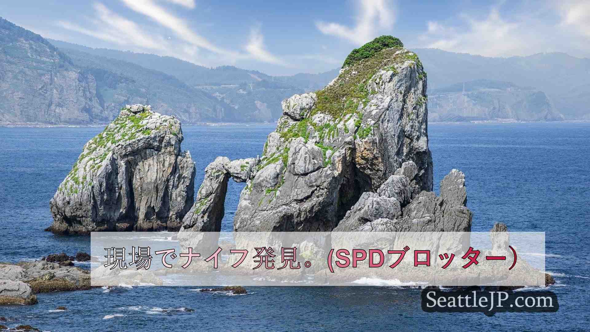 南シアトルで盲目の高齢男性が刺され、SWATが容疑者を逮捕