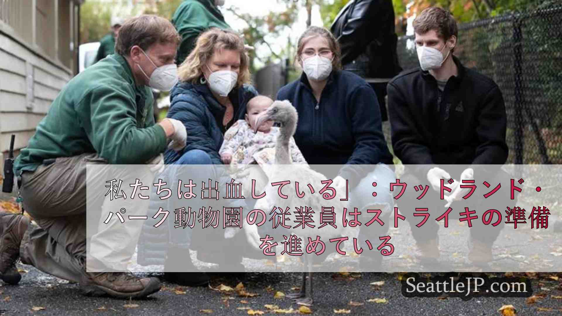 私たちは出血している」：ウッドランド・パーク動物園の従業員はストライキの準備を進