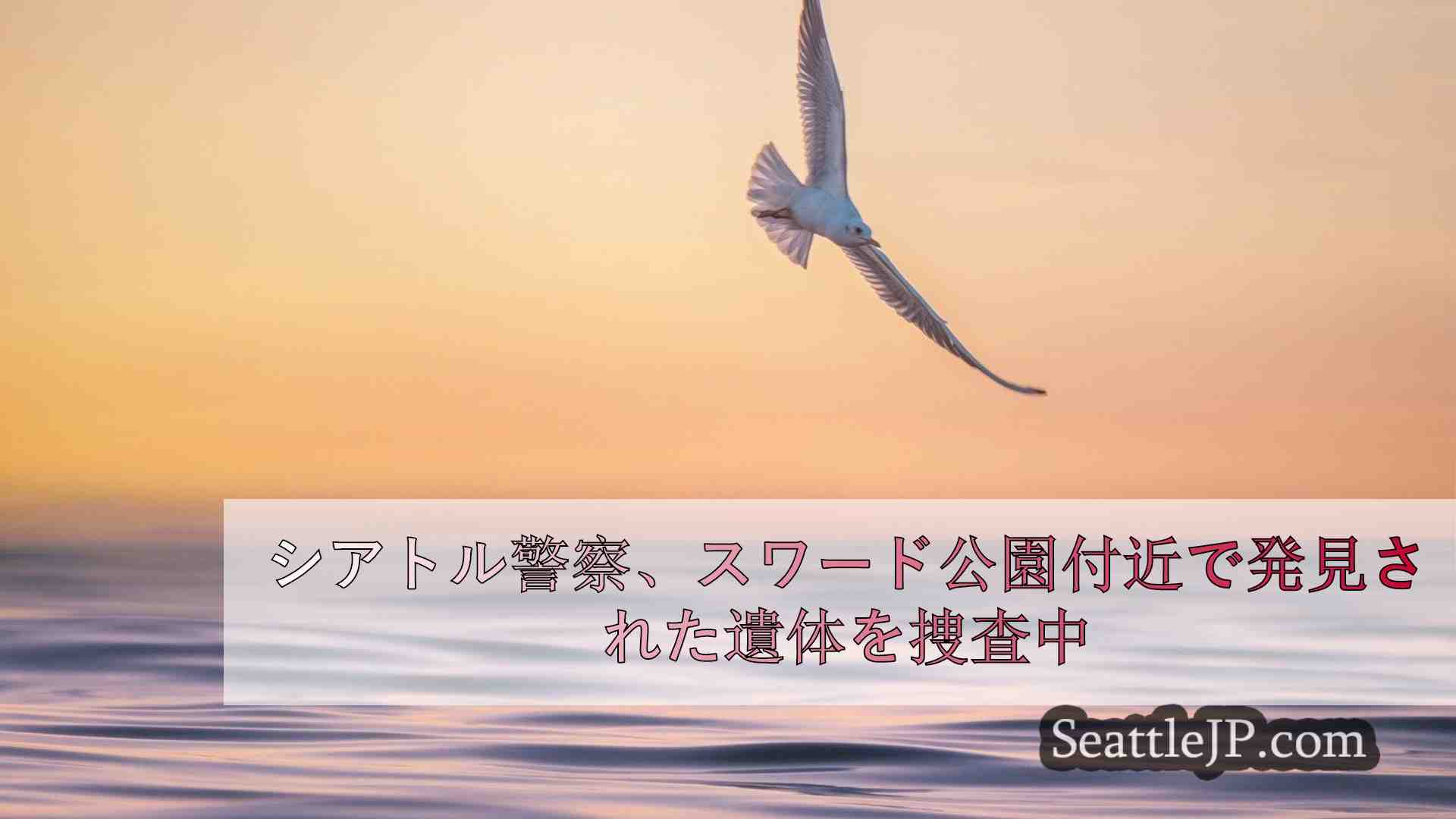 シアトルニュース SeattleJP