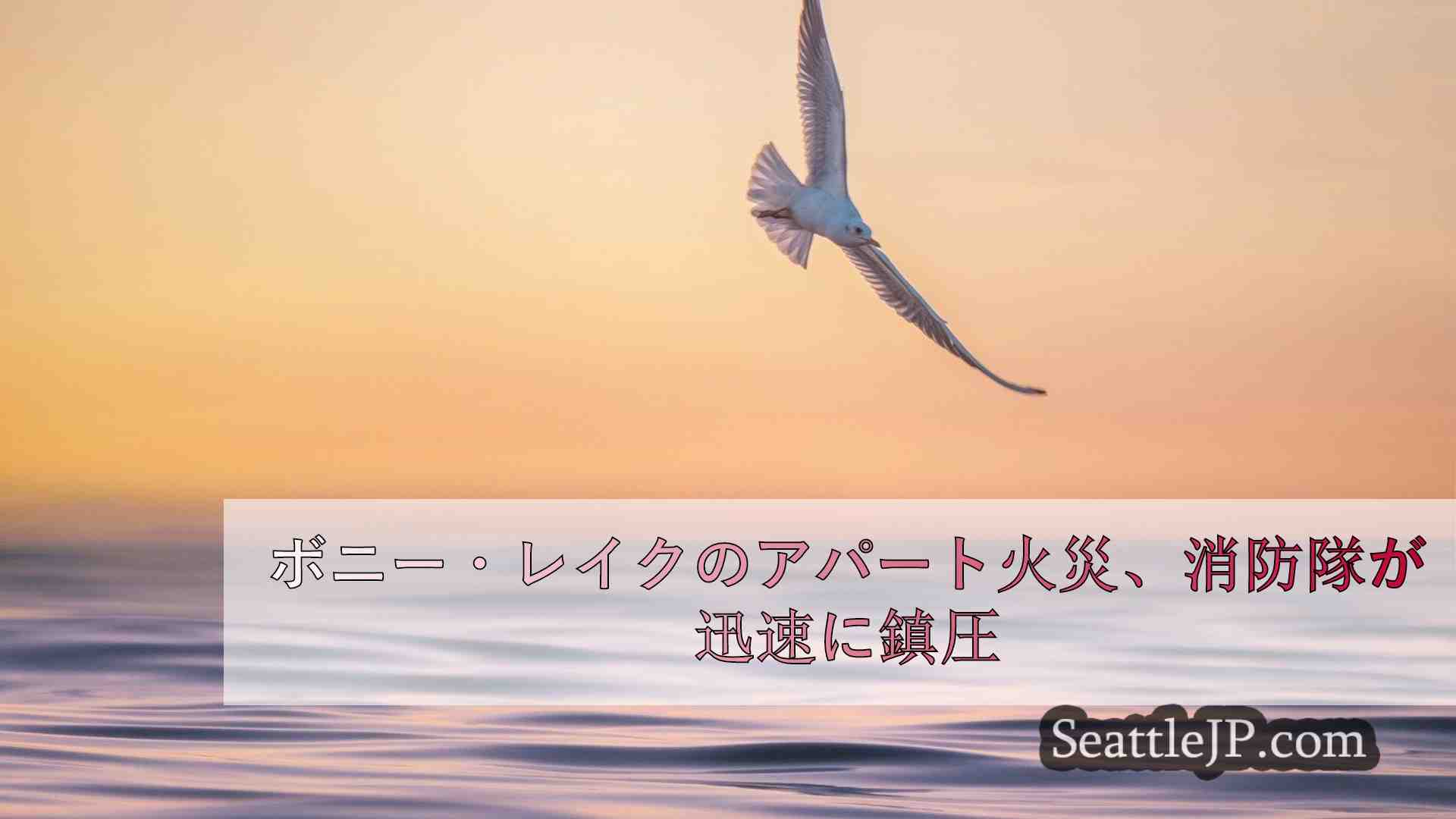 シアトルニュース SeattleJP