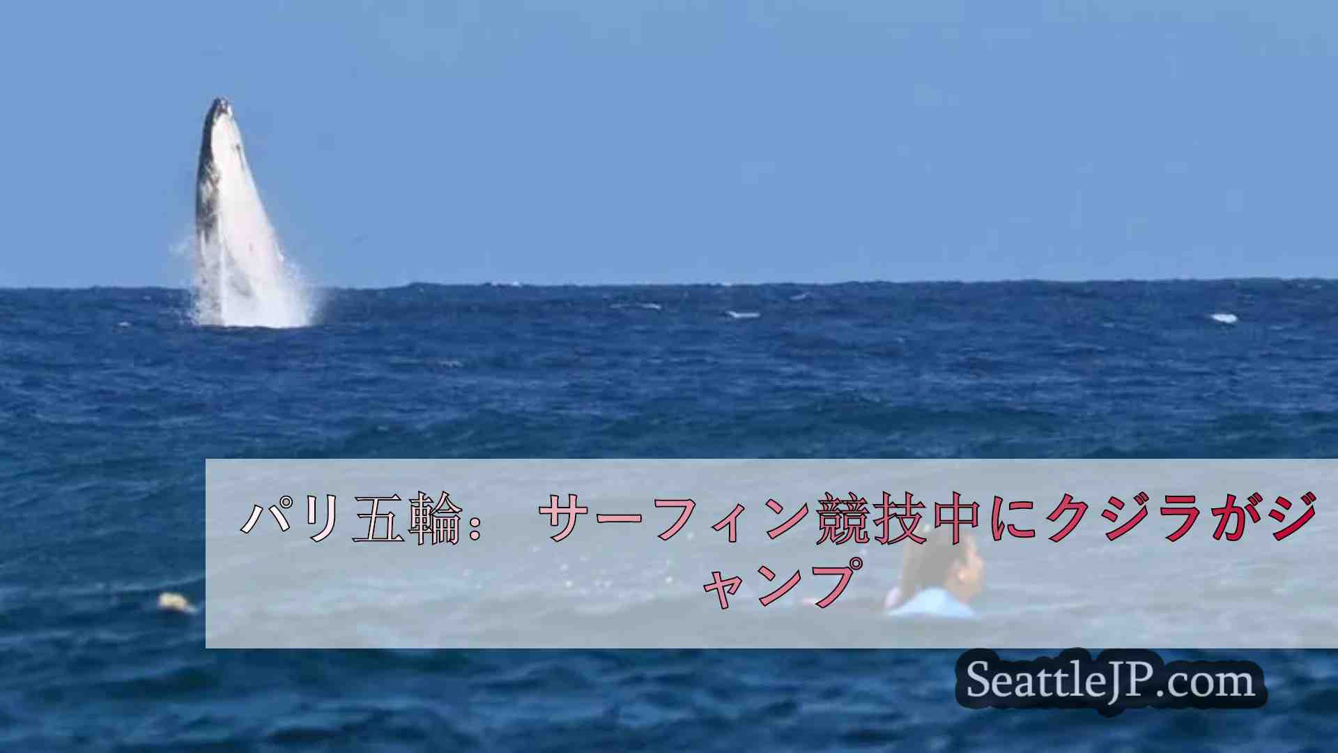 パリ五輪： サーフィン競技中にクジラがジャンプ