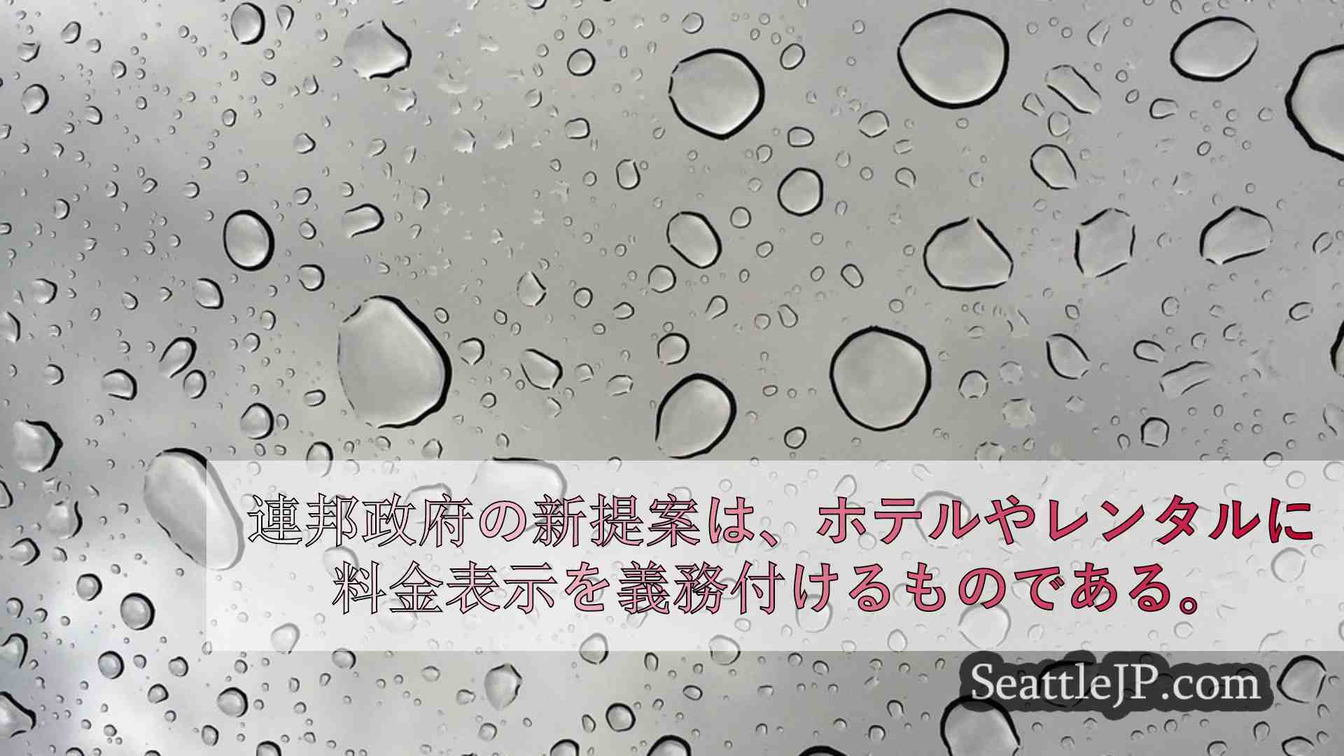 シアトルニュース SeattleJP